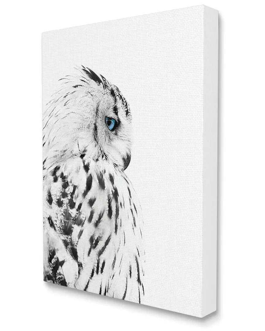 Snow Owl Canvas Wall Art - White image