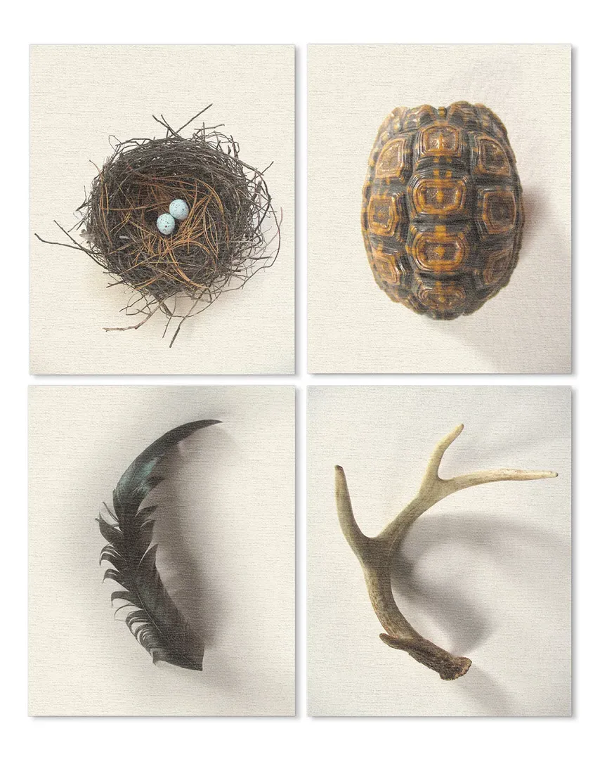 Woodland Found Objects Lithograph Print - White Frame image