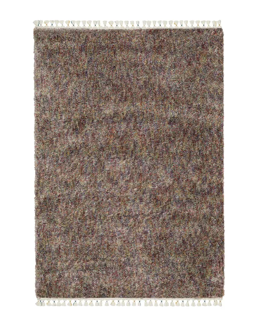 Amerherst Static Solid Shag Area Rug with Tassel Fringe