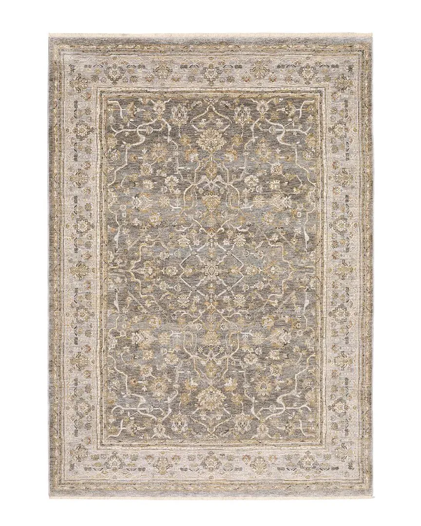 Mystique Distressed Border Fringed Area Rug - Beige, Polyester image