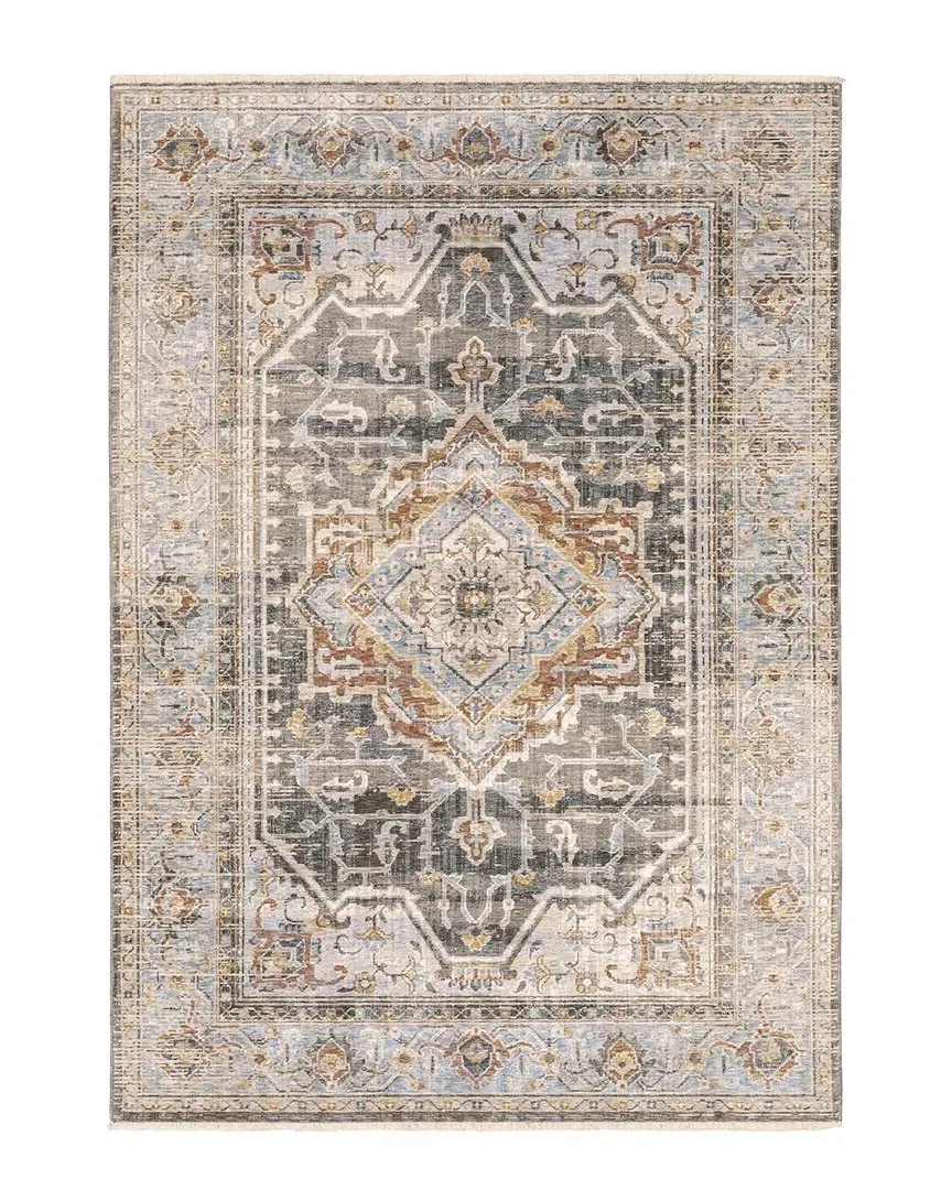 Mystique Distressed Medallion Fringed Area Rug - Polyester
