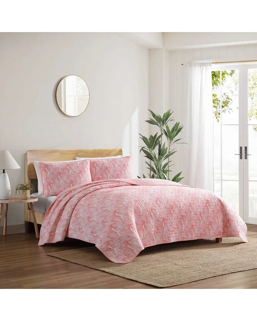 Distressed Water Leaves Reversible Quilt Set - Coral, Cotton
