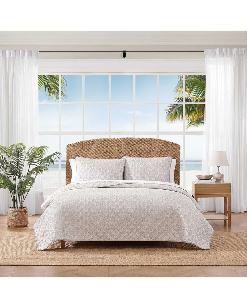 Fronds Reversible Quilt Set - Khaki, Cotton