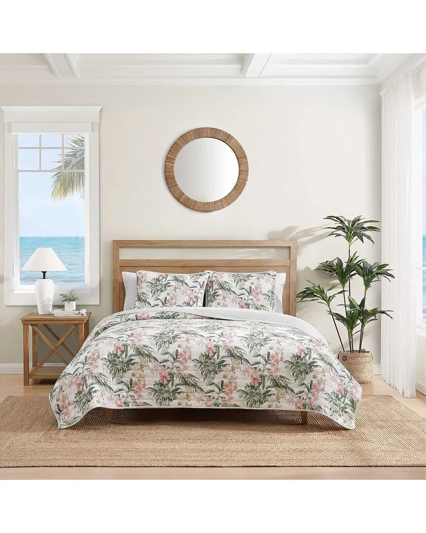 Island Orchid Reversible Quilt Set - Pink, Cotton