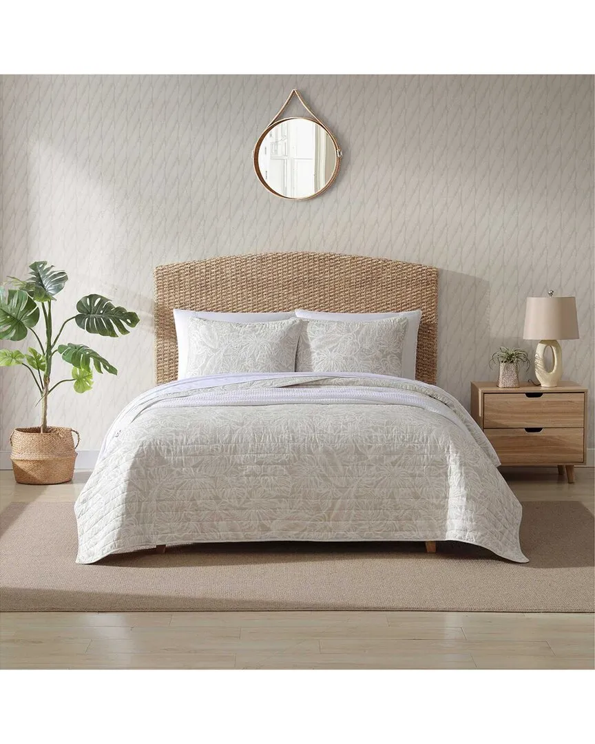 Ocean Deep Reversible Quilt Set - Beige, Cotton image