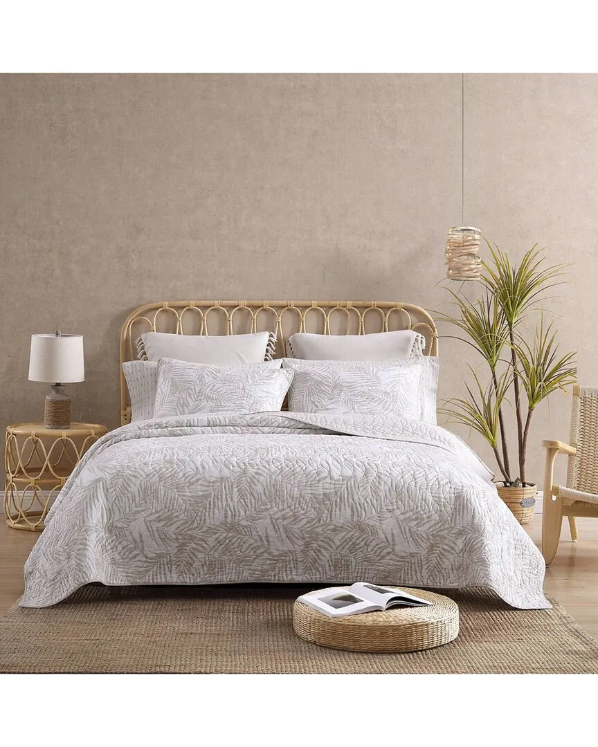 Palmday Reversible Quilt Set - Brown, Cotton image