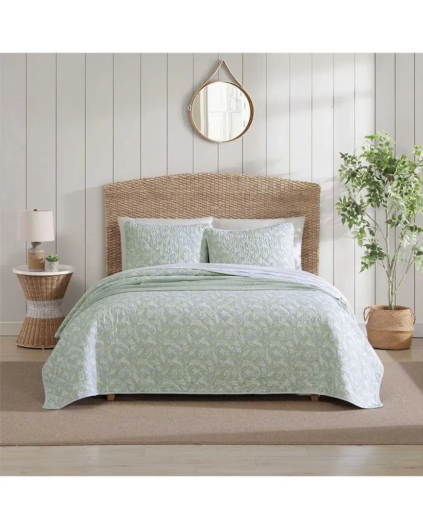 Pineapple Bloom Reversible Quilt Set - Green, Cotton image