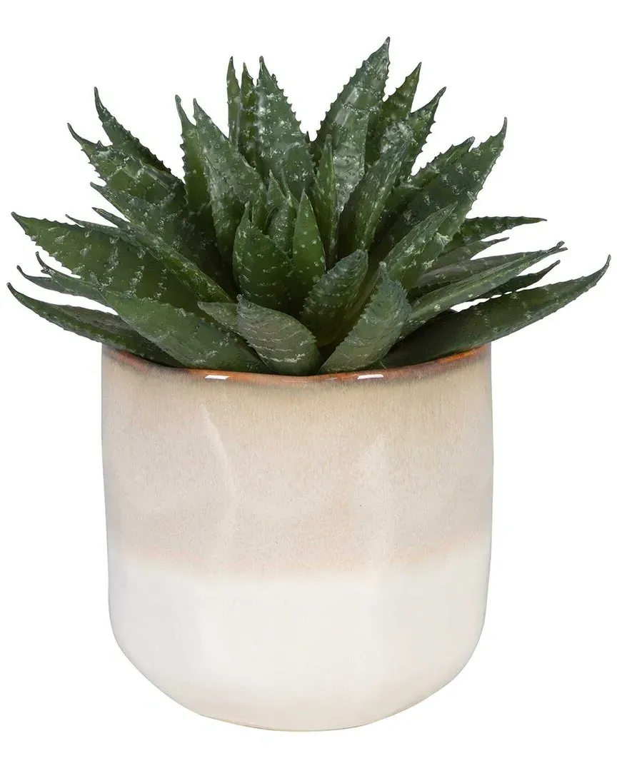 Doha Succulent Accent - Green image