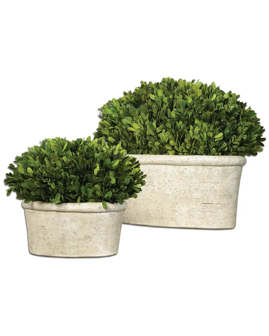 Set of 2 Oval Domes Preserved Boxwood - Green image
