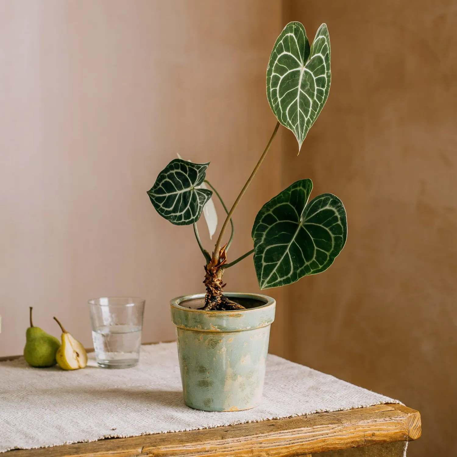 Antiqued Large Plant Pot - Green, Ceramic