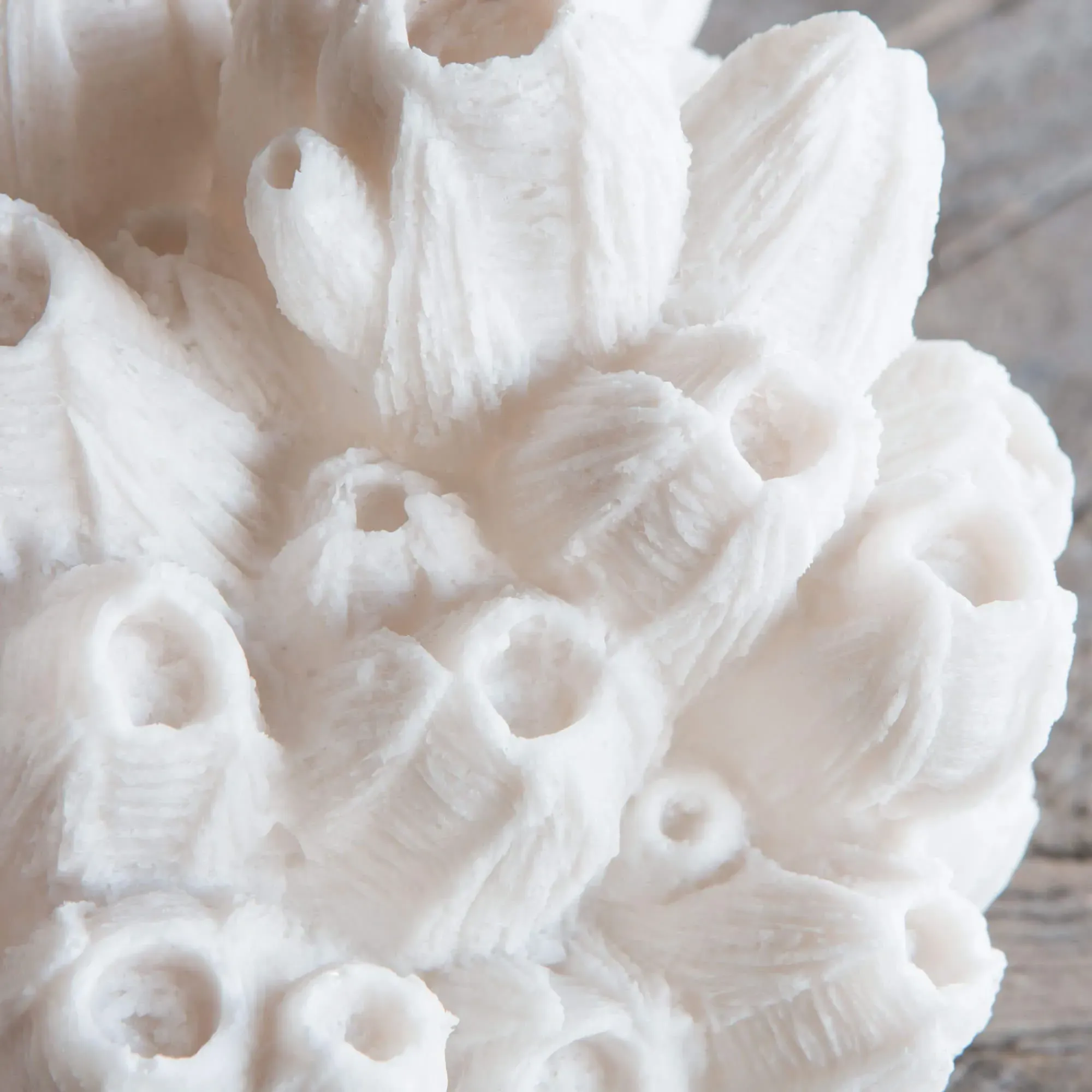 Arbuscular Coral Table Lamp - Stone Powder, Resin