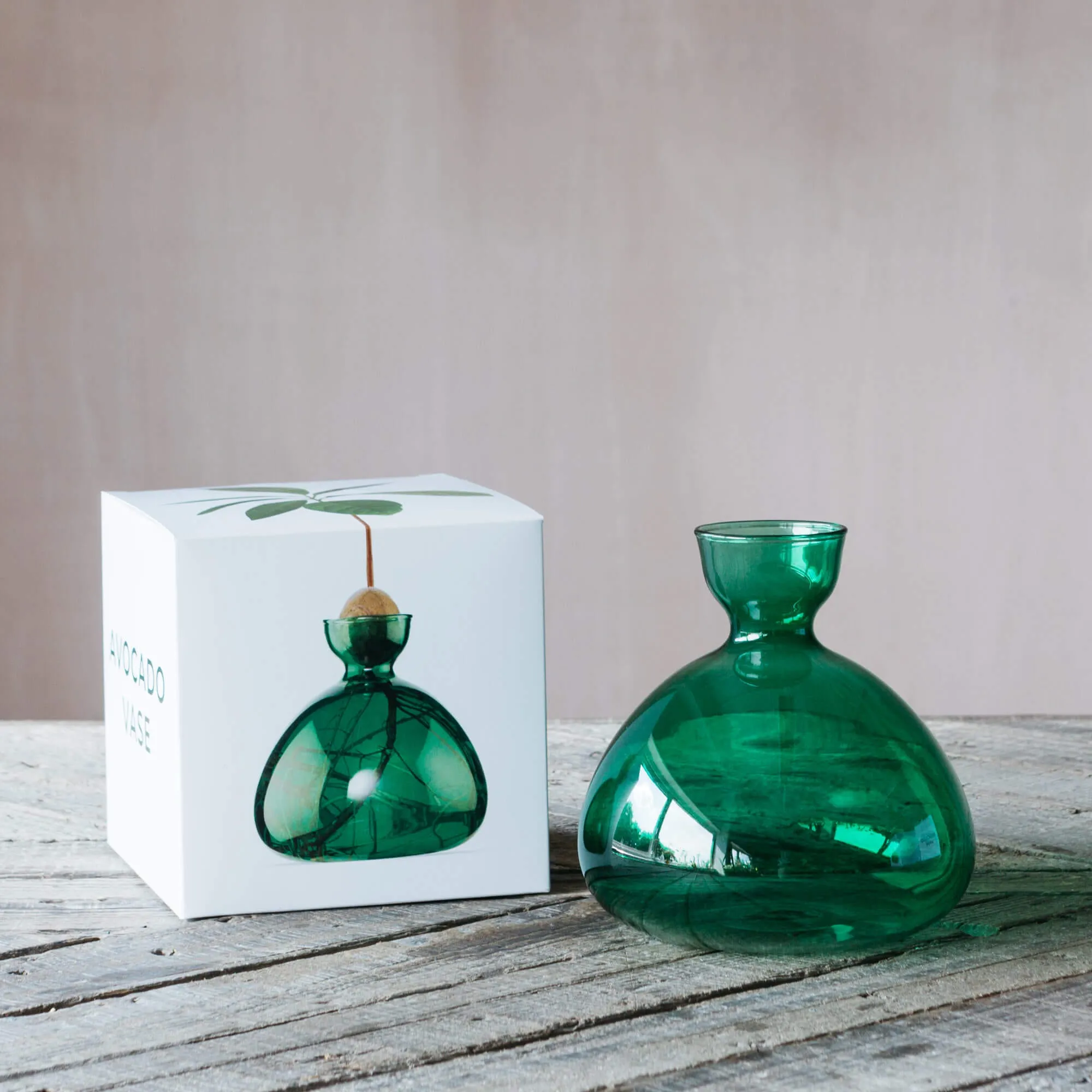 Avocado Sprouting Vase - Green Glass