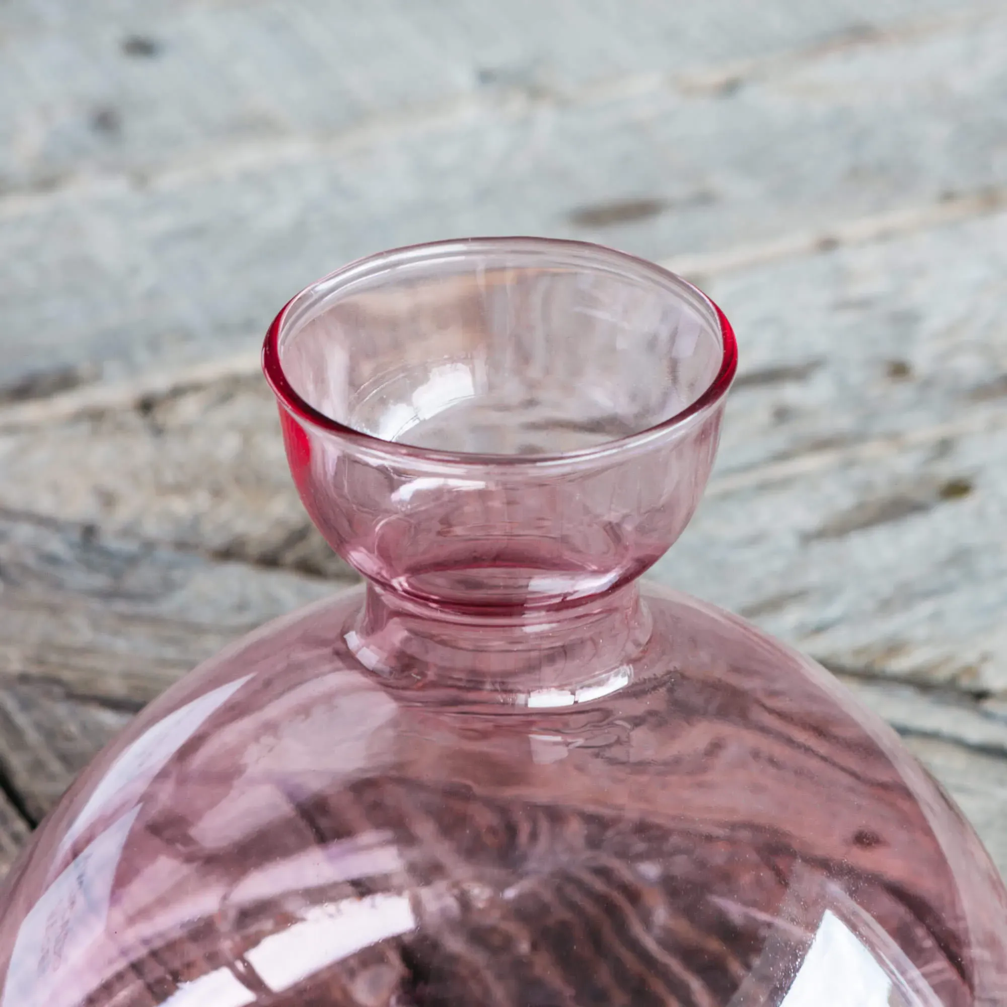 Avocado Sprouting Vase - Rose Pink