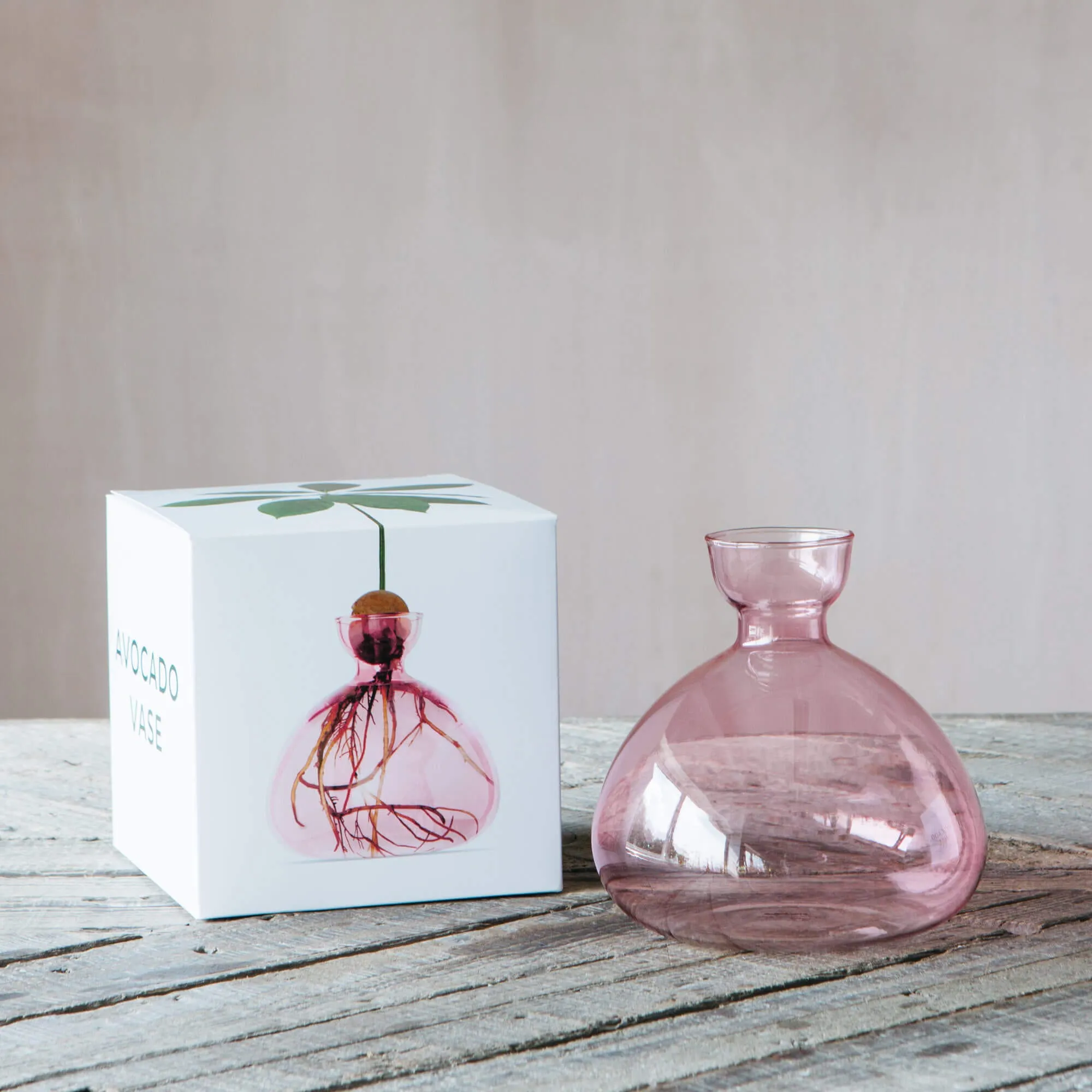 Avocado Sprouting Vase - Rose Pink image
