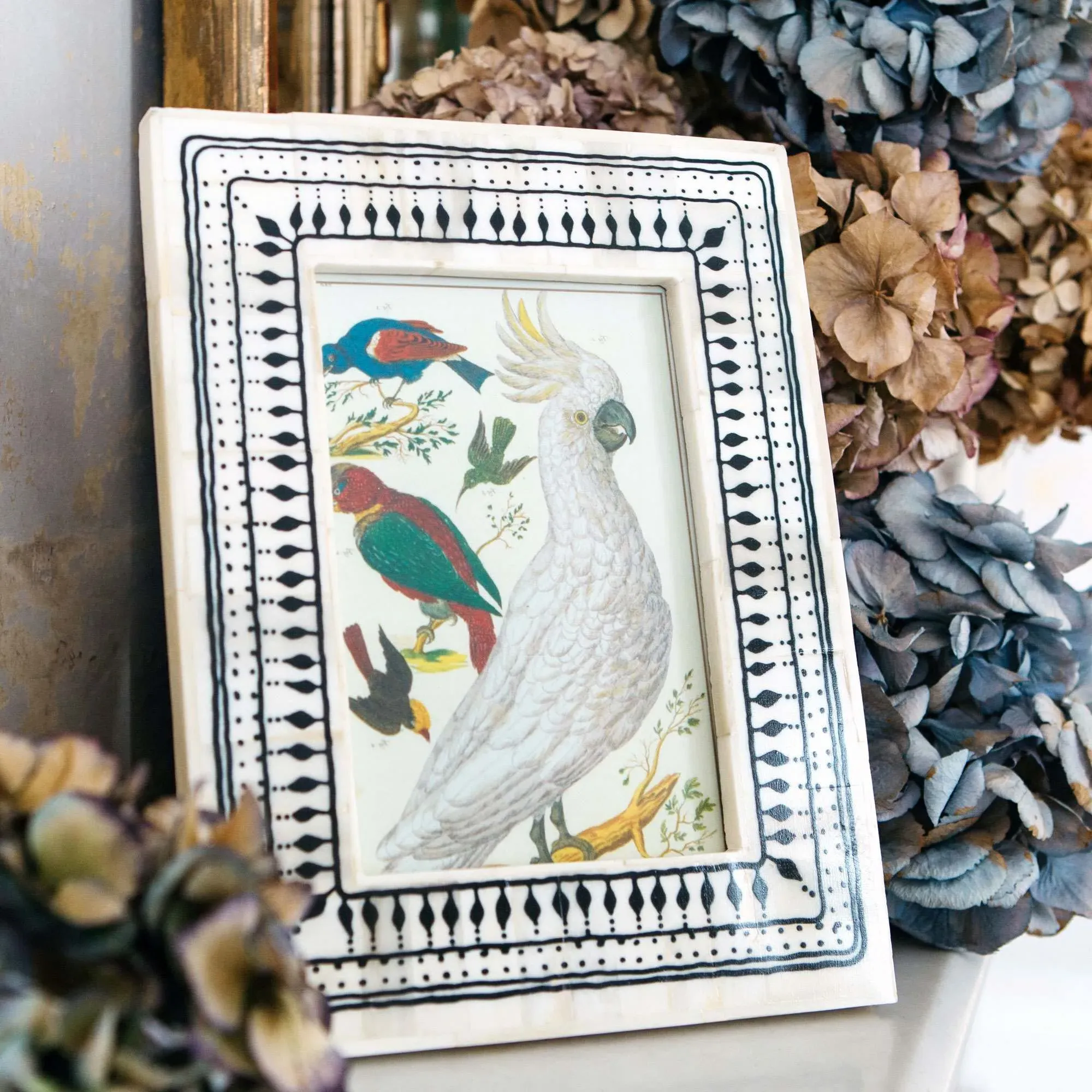 Aztec Print Bone Frame - Black, White