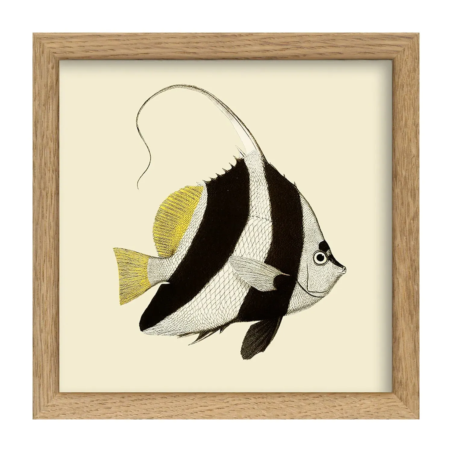 Black & White Fish Print with Oak Frame image