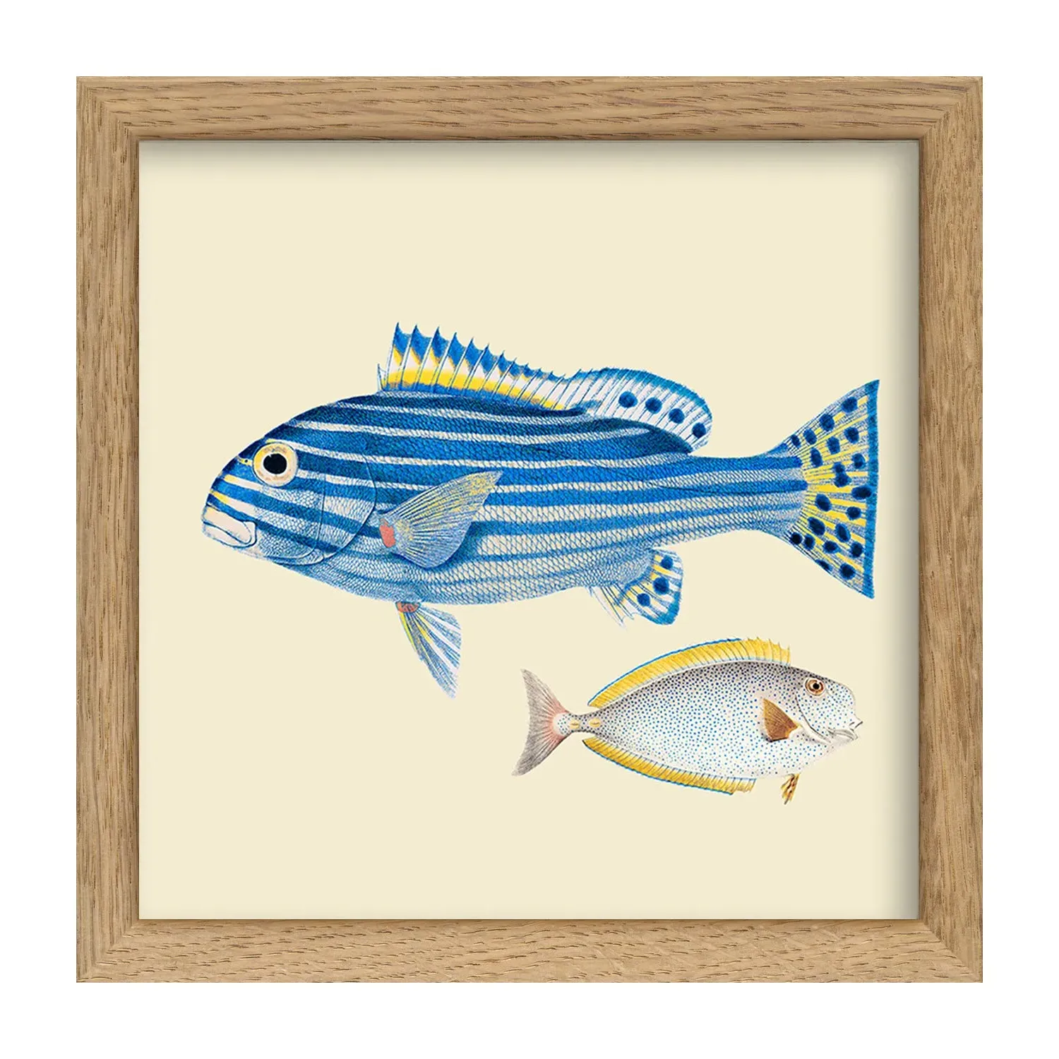 Blue Striped Fish Print with Oak Frame