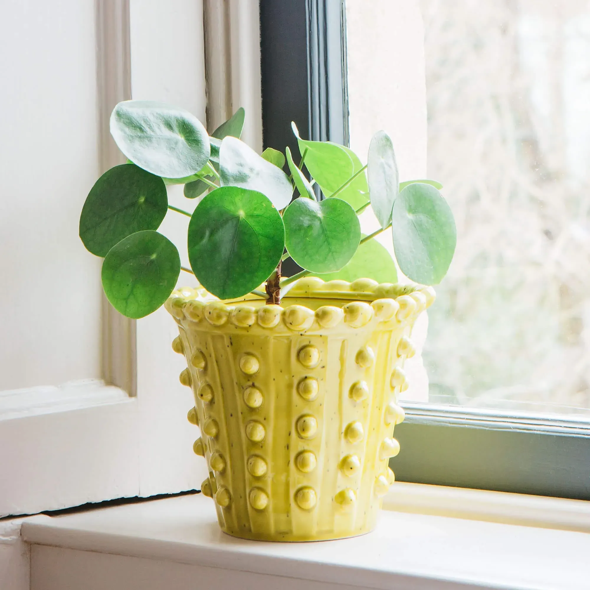 Bobble Plant Pot - Yellow, Ceramic