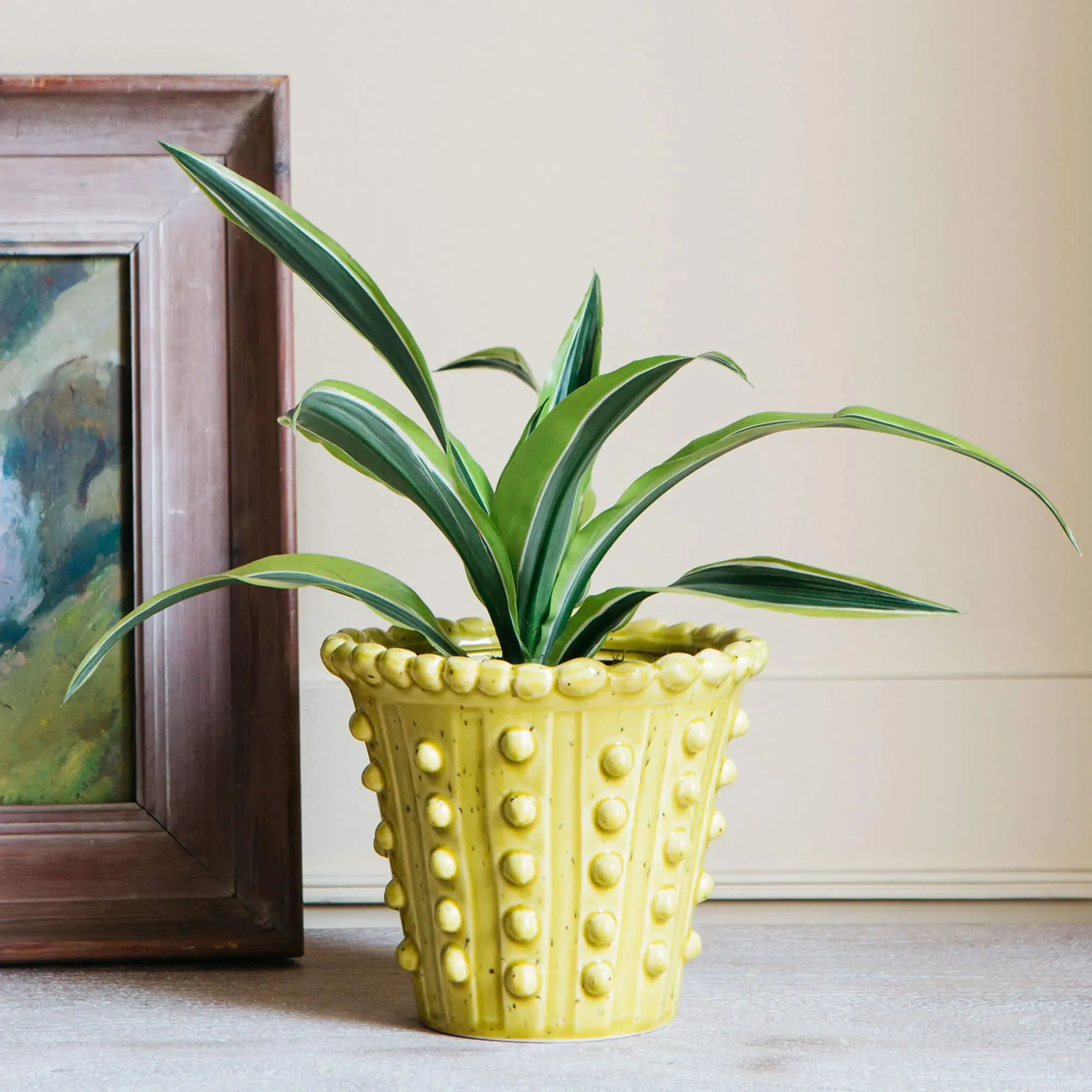 Bobble Plant Pot - Yellow, Ceramic image