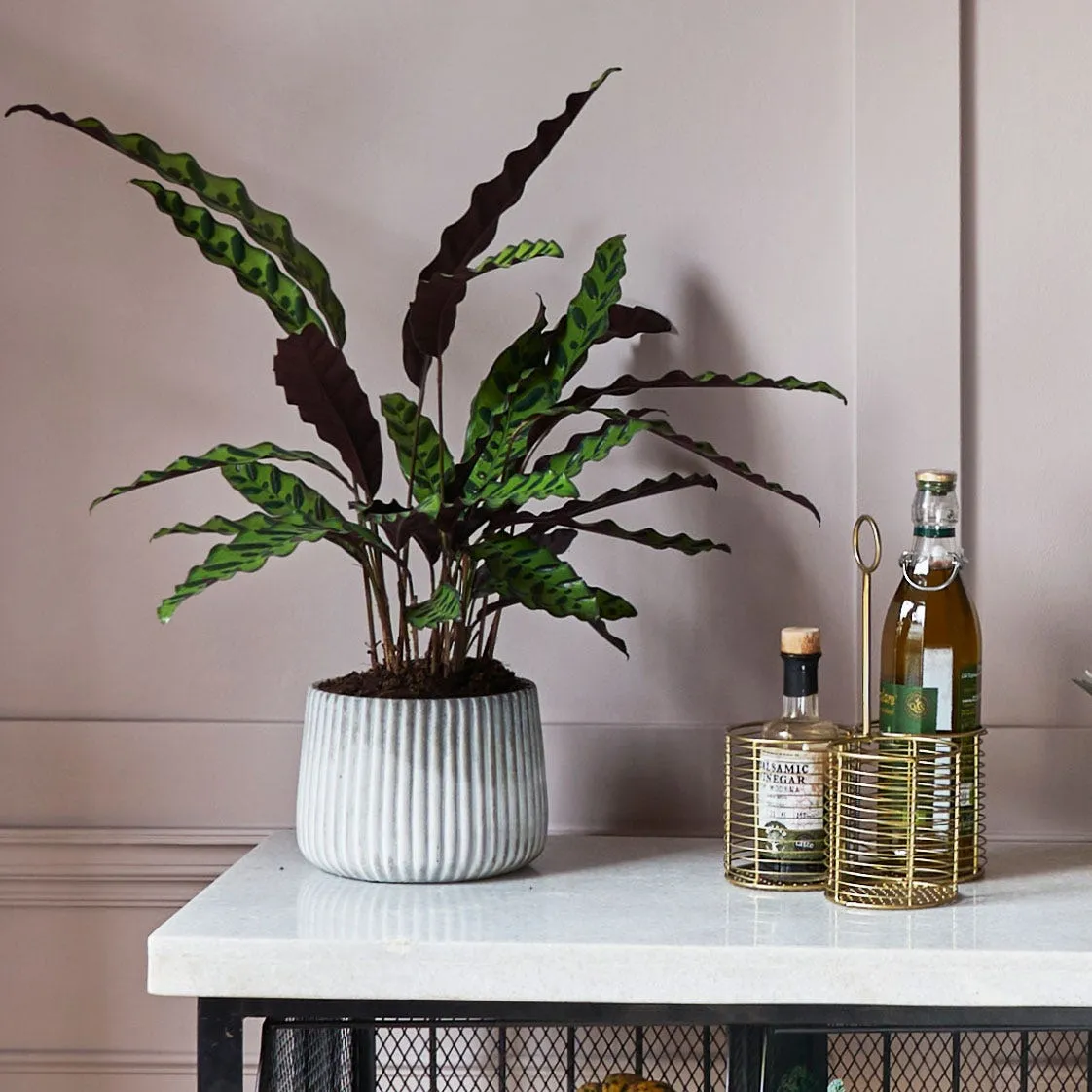 Bottle Holder - Antique Brass