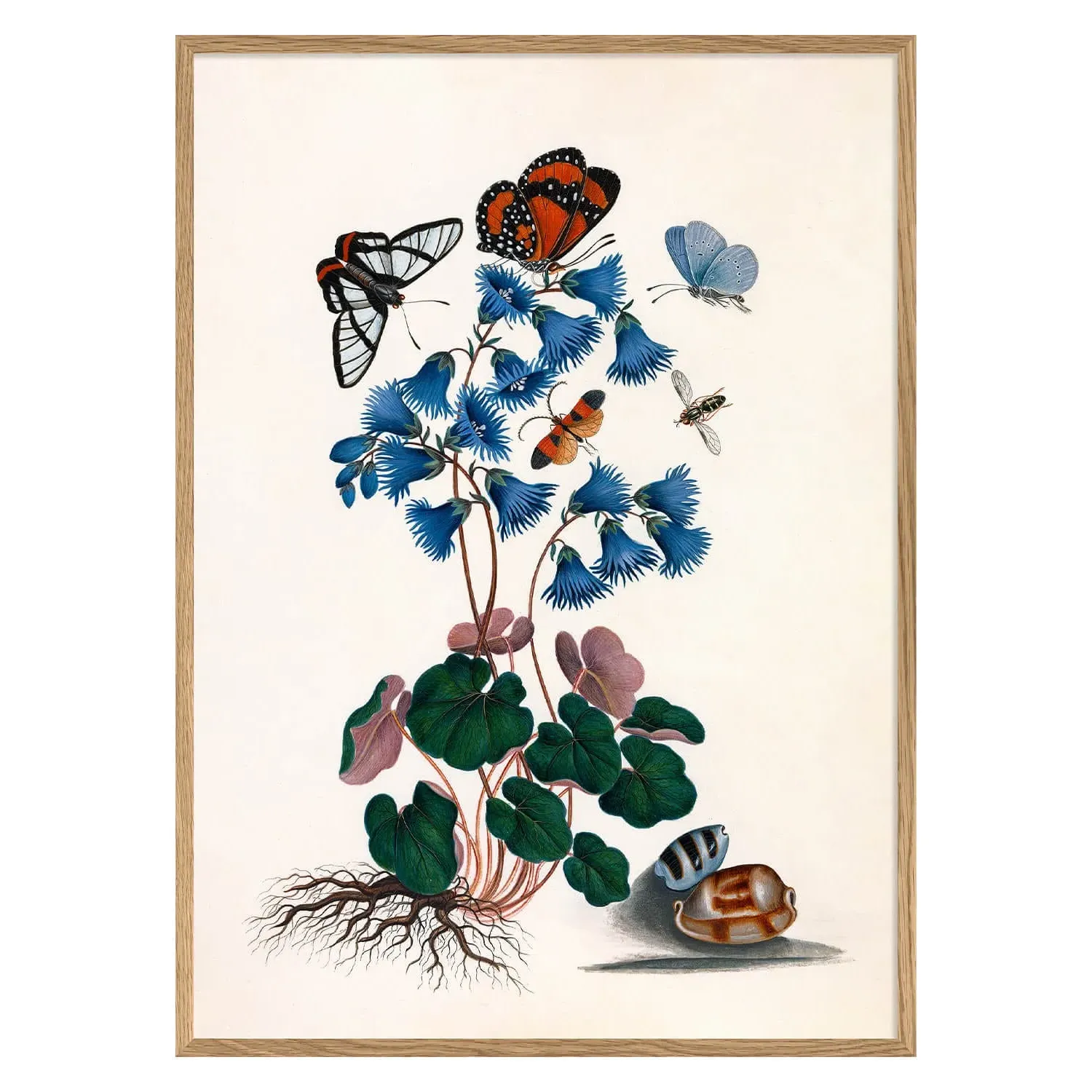 Butterflies and Blue Print with Oak Frame - 30 x 40cm image