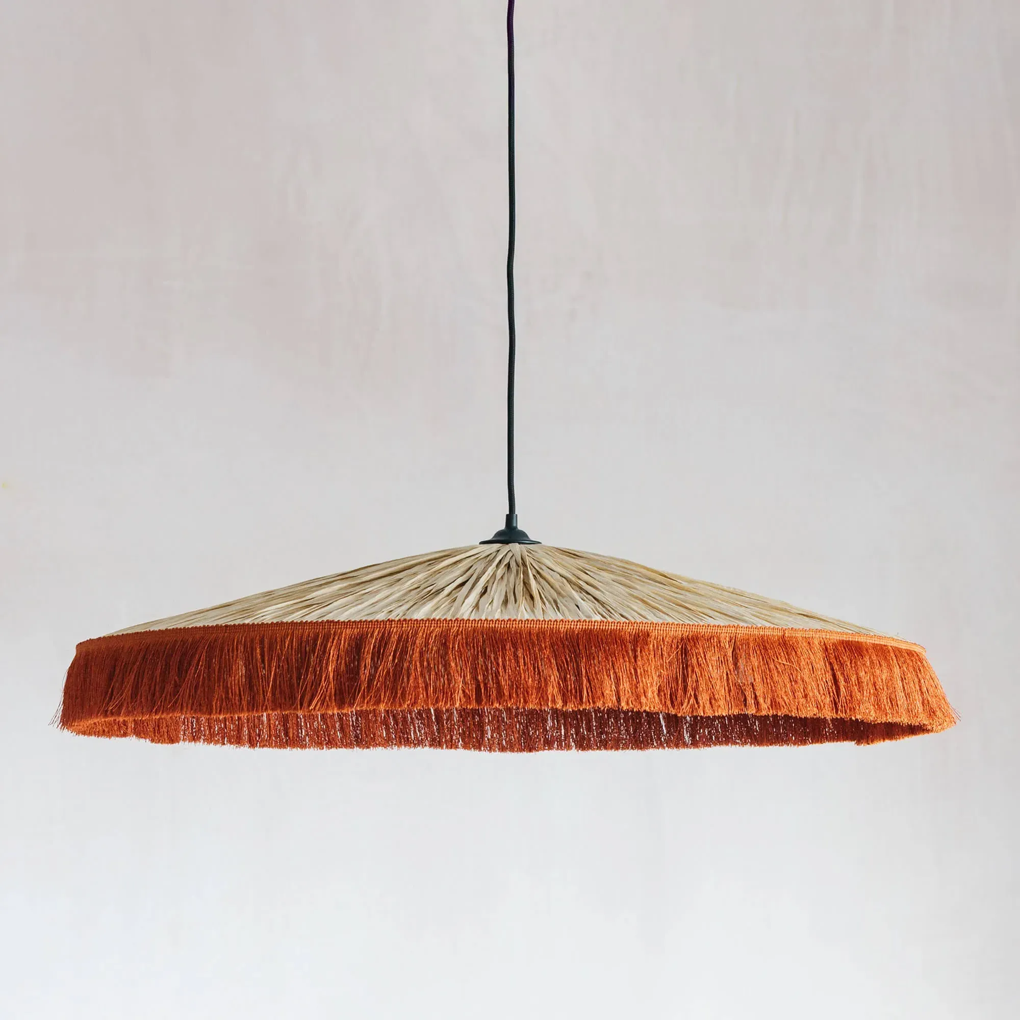 Cecile Tassel Pendant Light - Brick Red, Woven Grass image