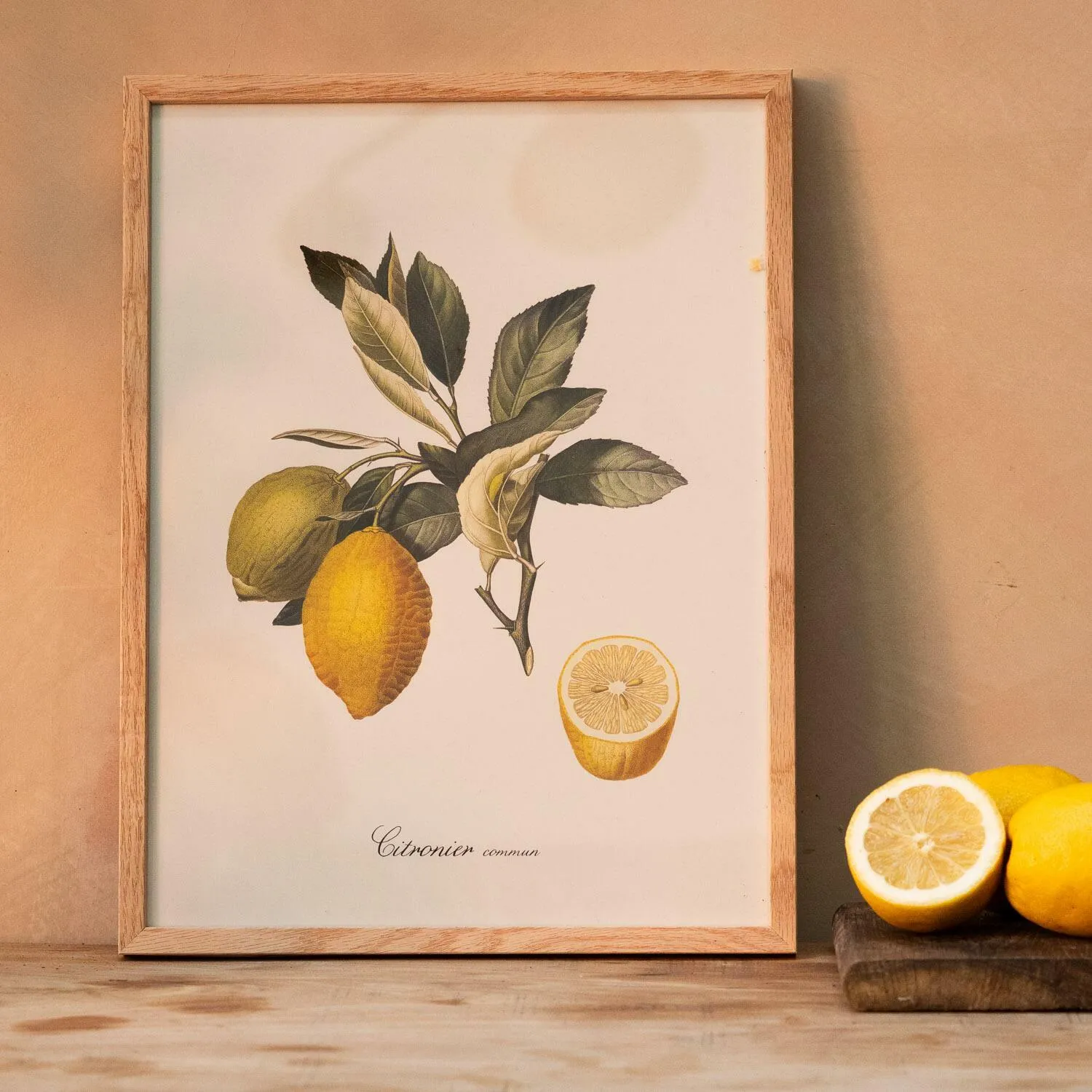 Common Lemon Branch Print with Oak Frame