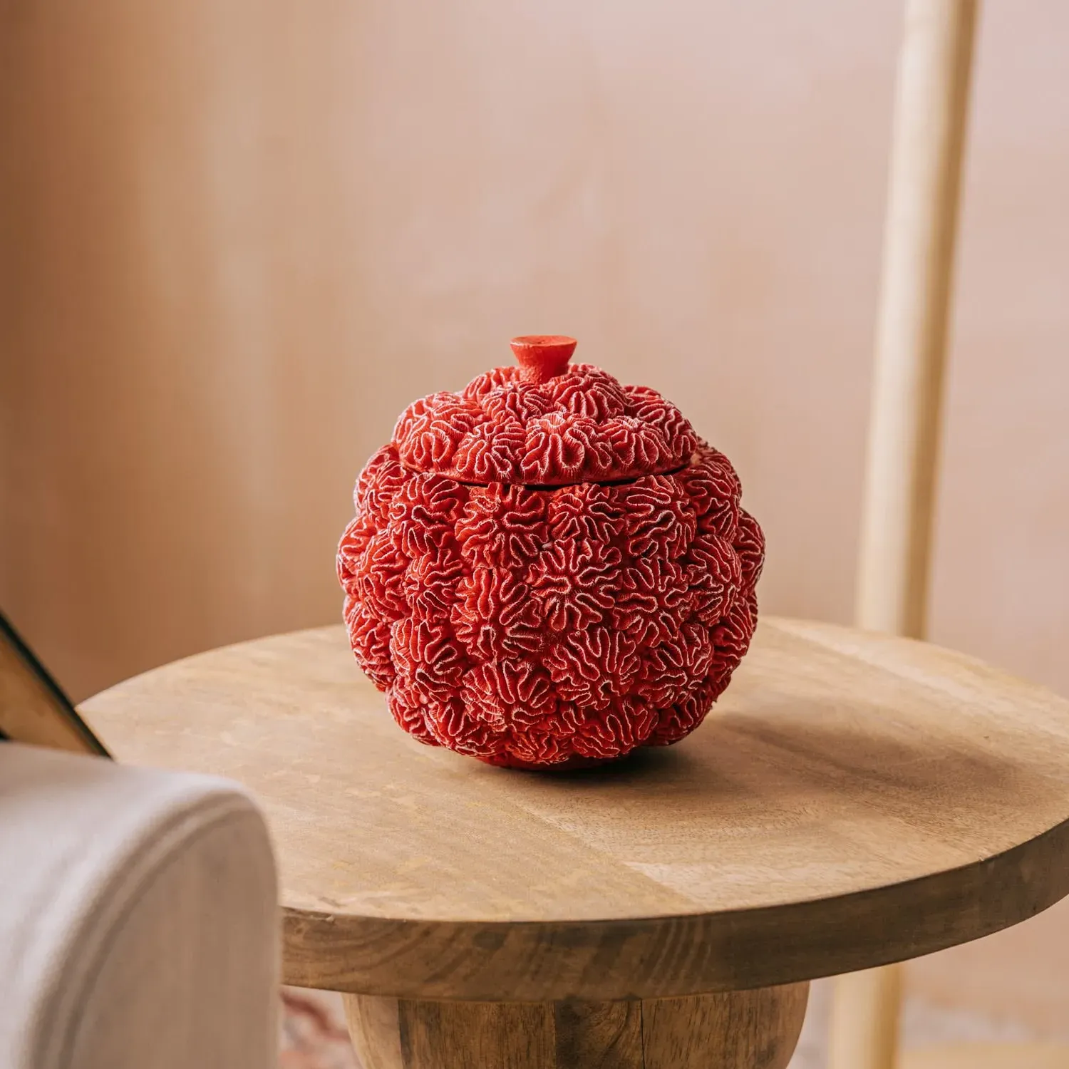 Coral Decorative Box - Red image