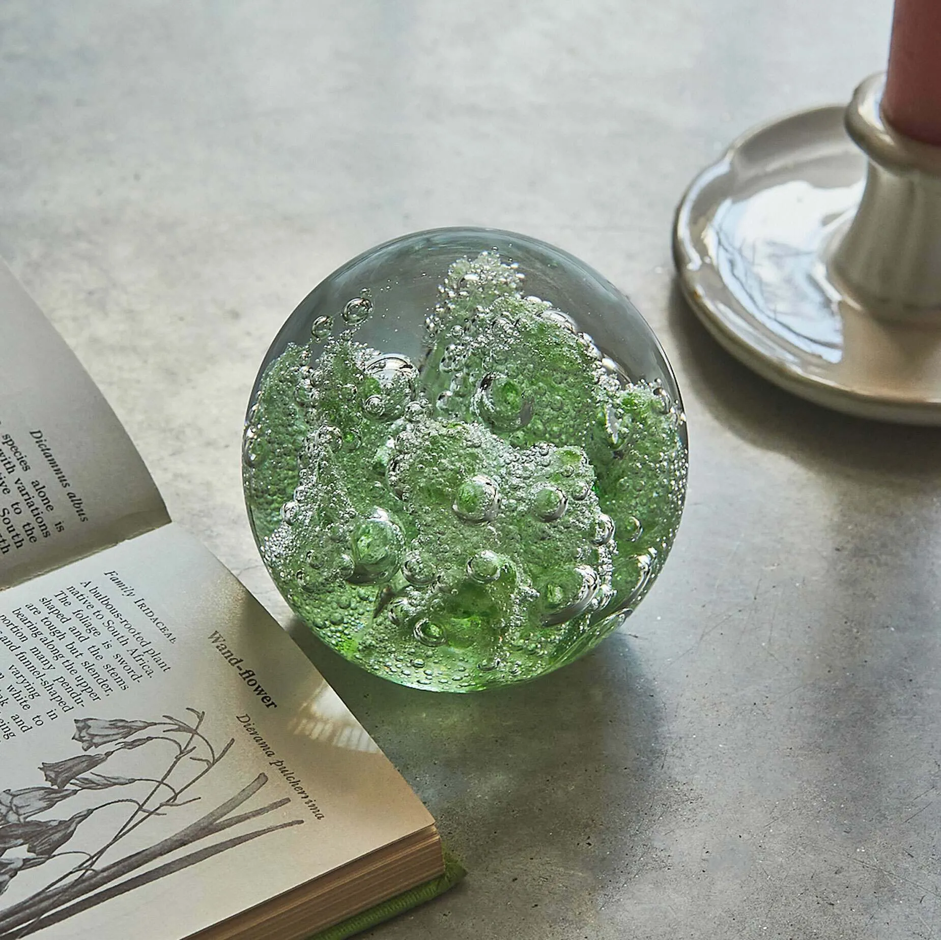 Coral Glass Ornament - Green image