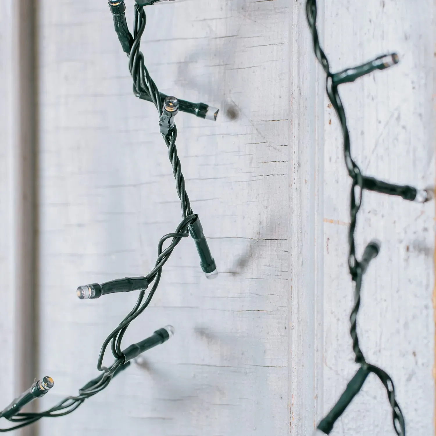 Dark Green Pink String Lights - Green