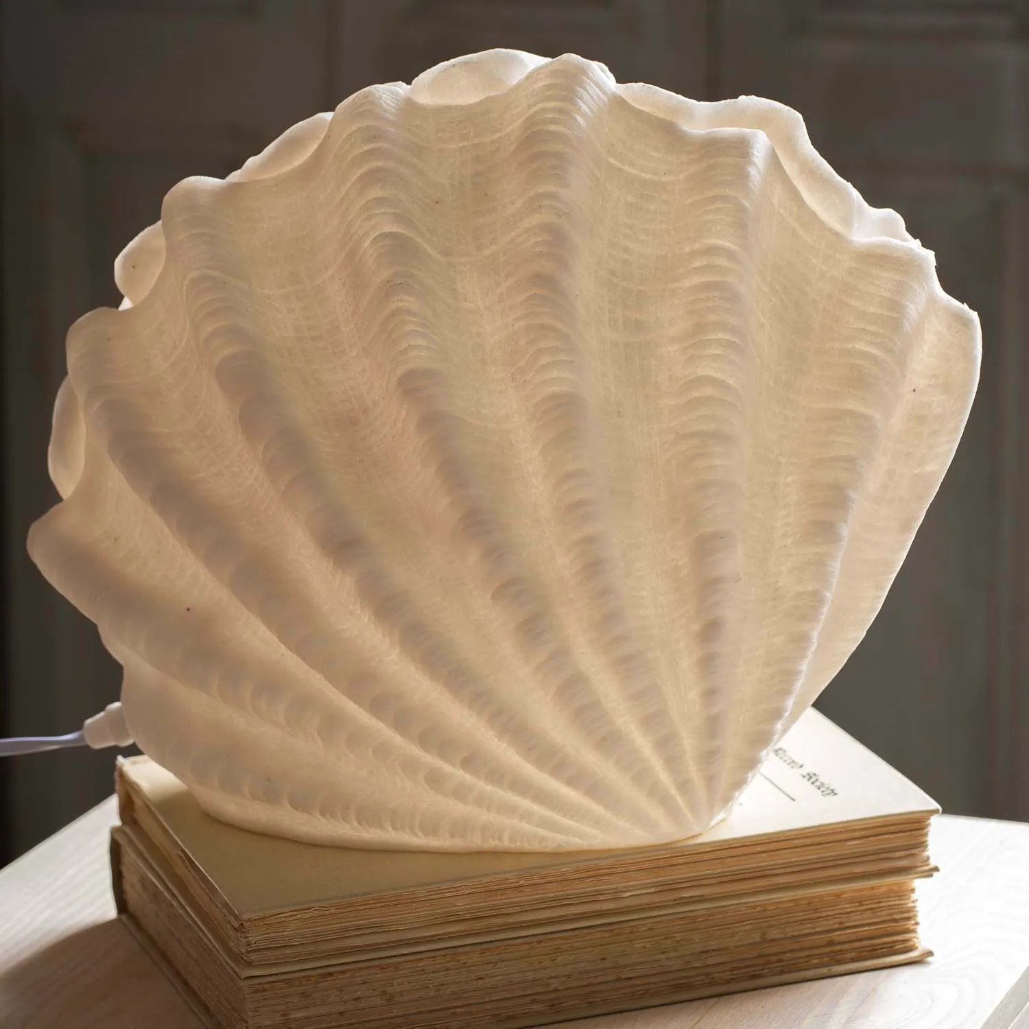 Decorative Shell Table Lamp - Stone Powder, Resin
