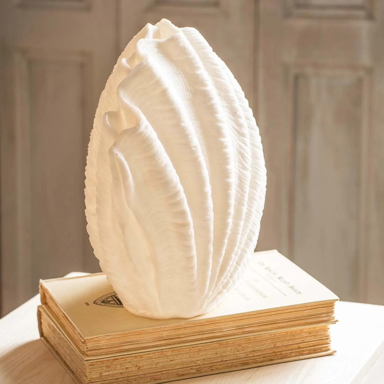 Decorative Shell Table Lamp - Stone Powder, Resin