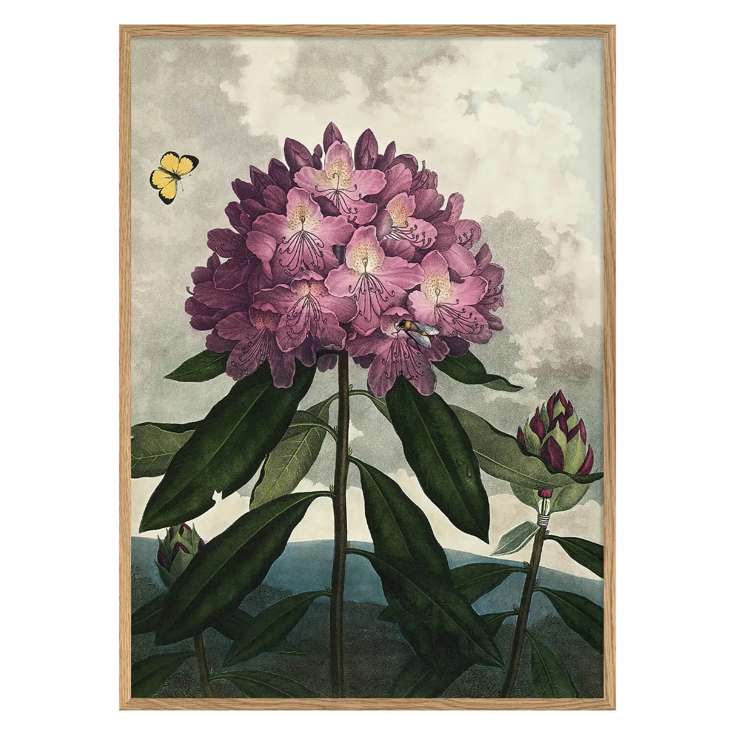 Enchanted Rhodonia Print with Oak Frame