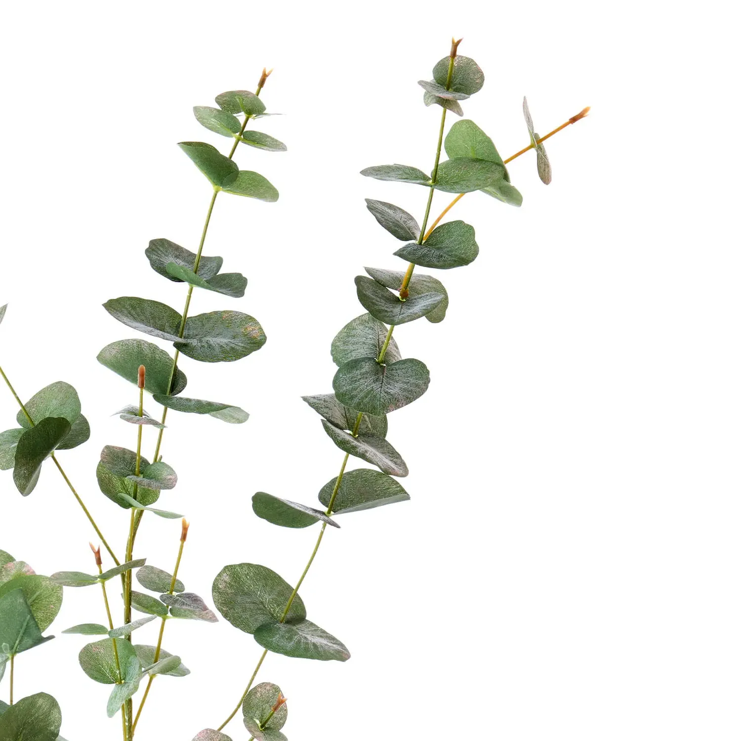 Faux Eucalyptus Stem - Green