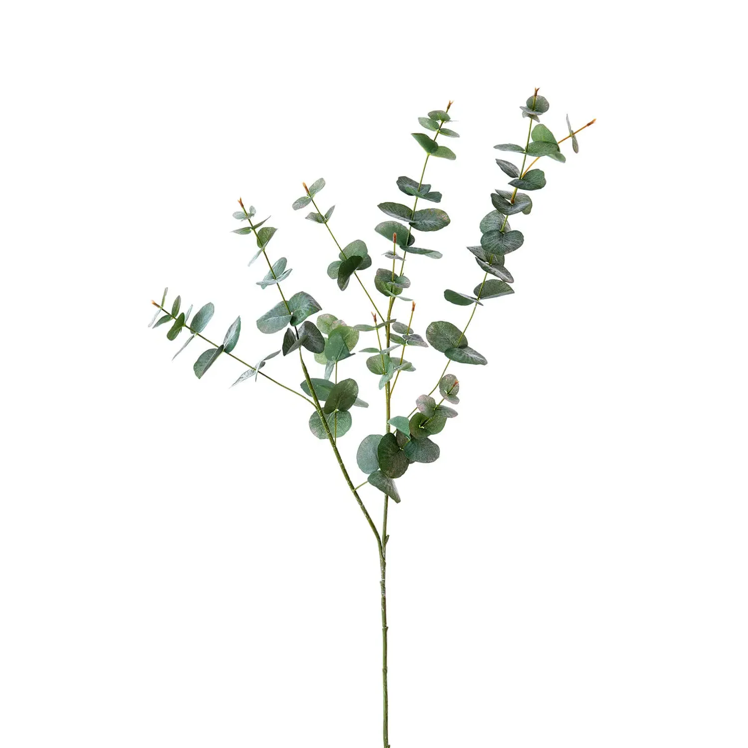 Faux Eucalyptus Stem - Green