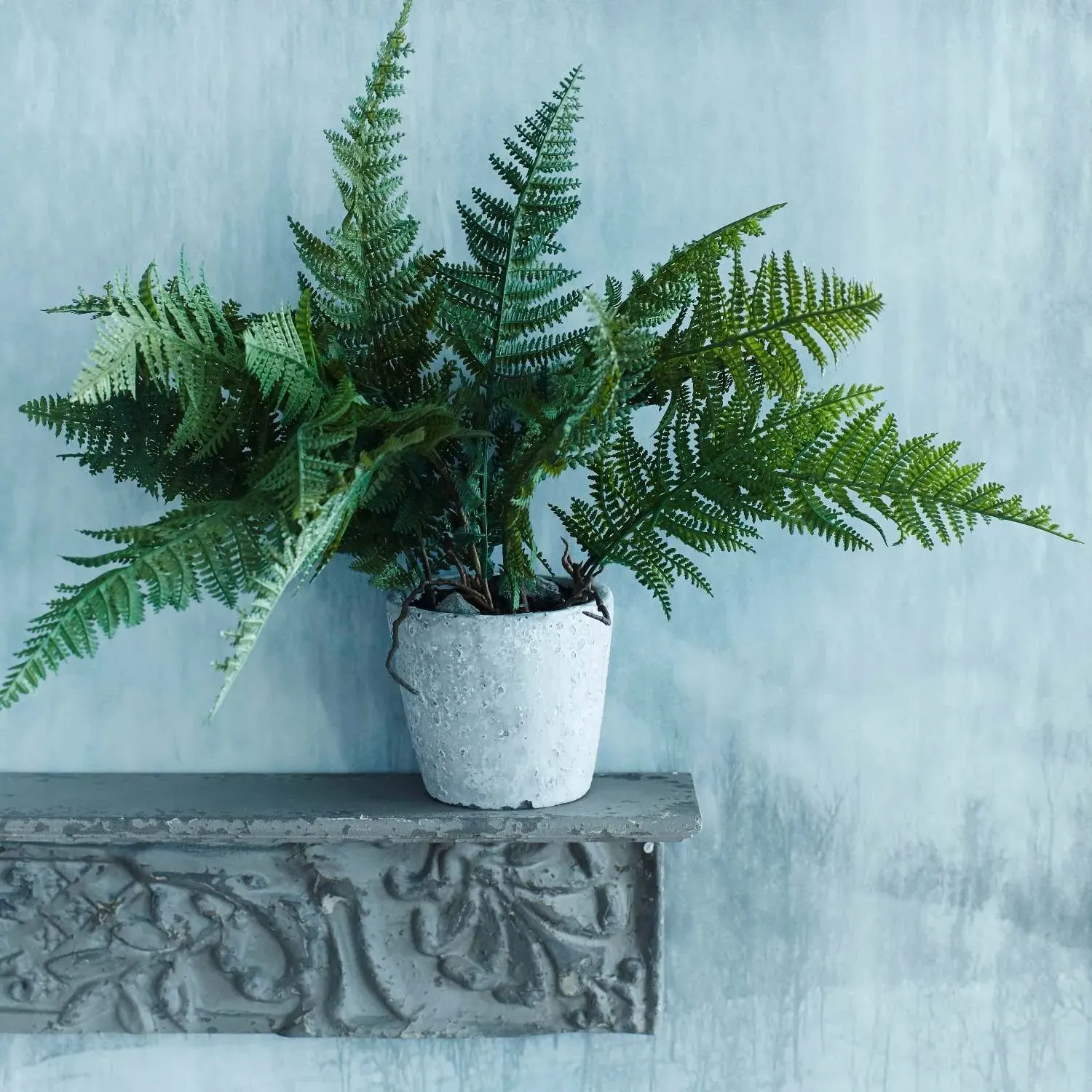 Faux Fern Grass in Pot - Green image