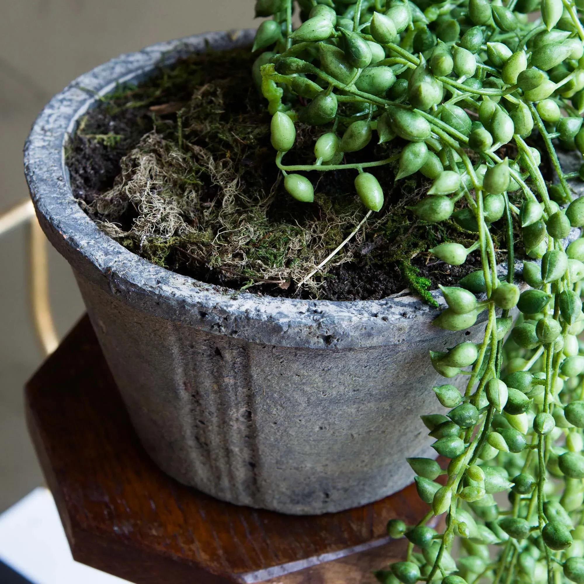 Faux String of Pearls in Pot - Green