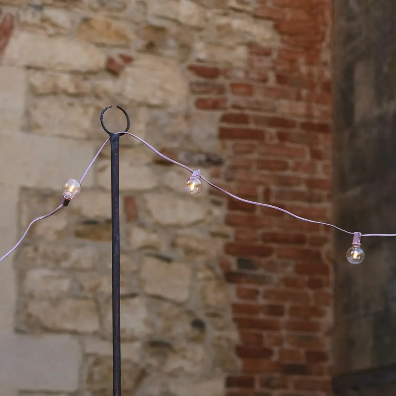 Festoon Lights - Pink