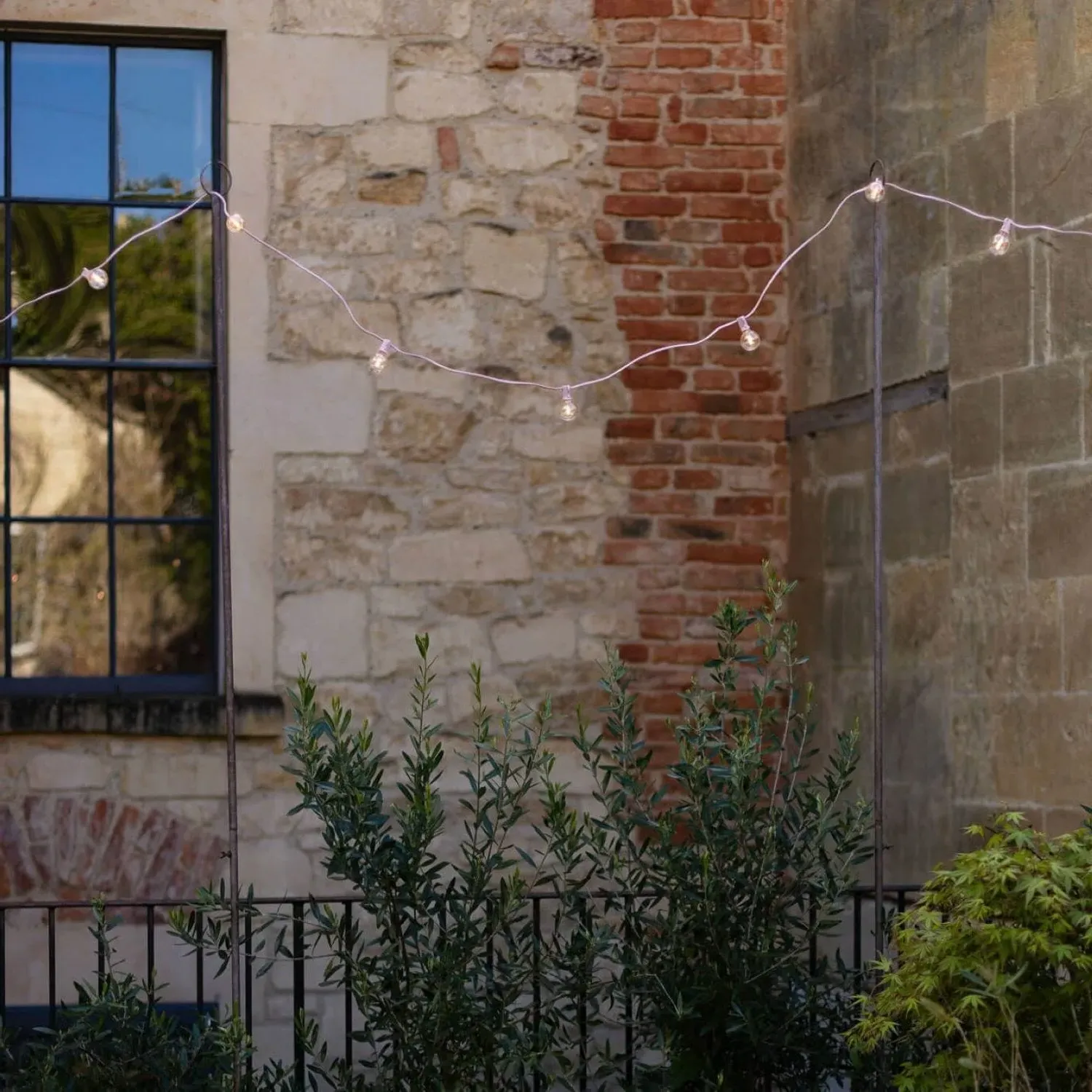 Festoon Lights - Pink