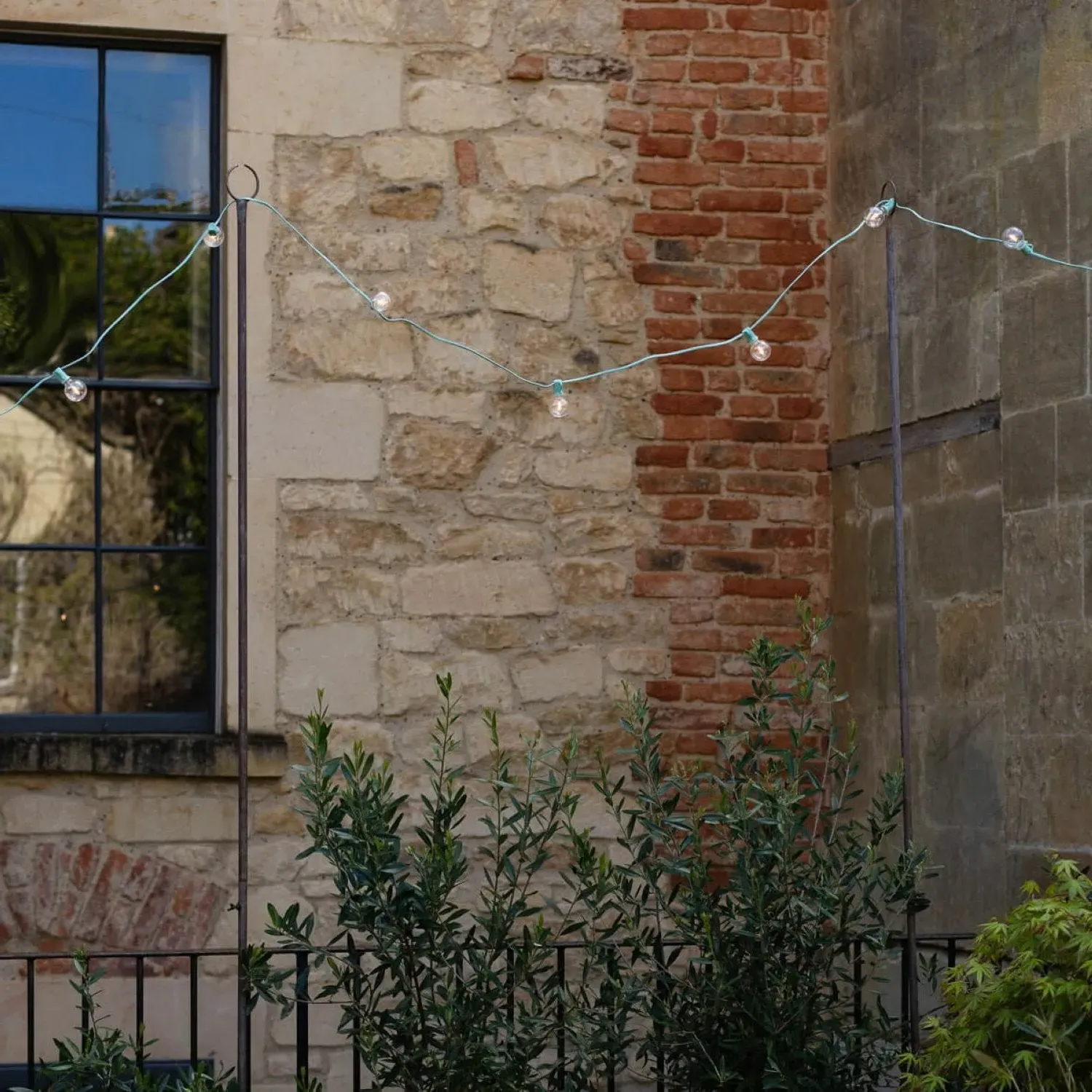 Festoon Lights - Teal