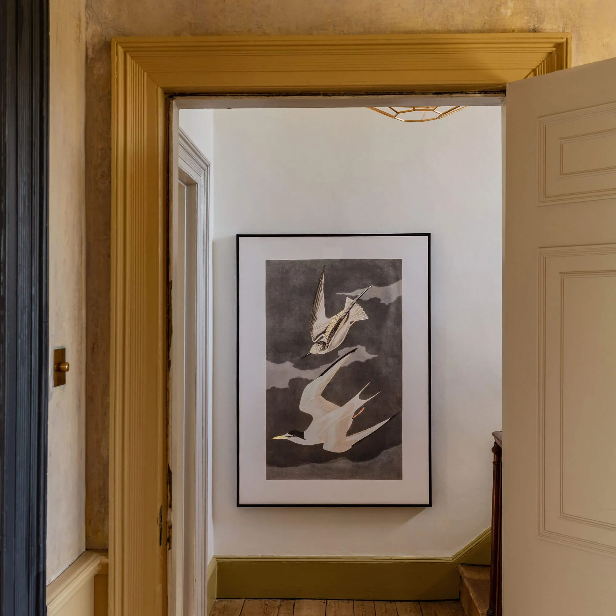 Framed Birds in Flight Print - White