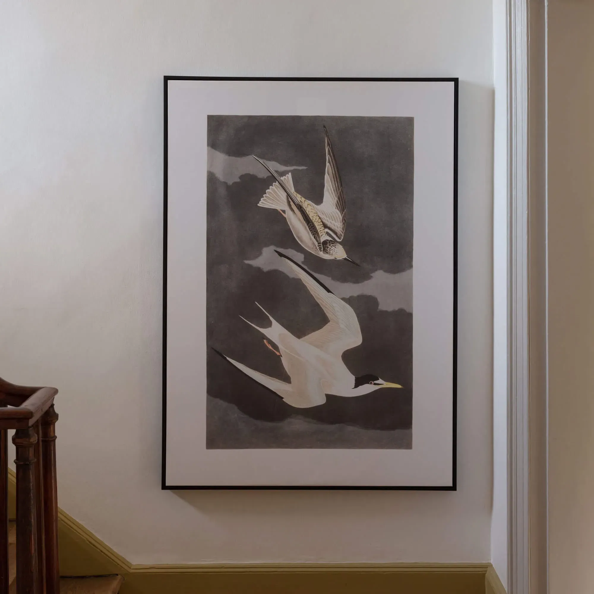 Framed Birds in Flight Print - White