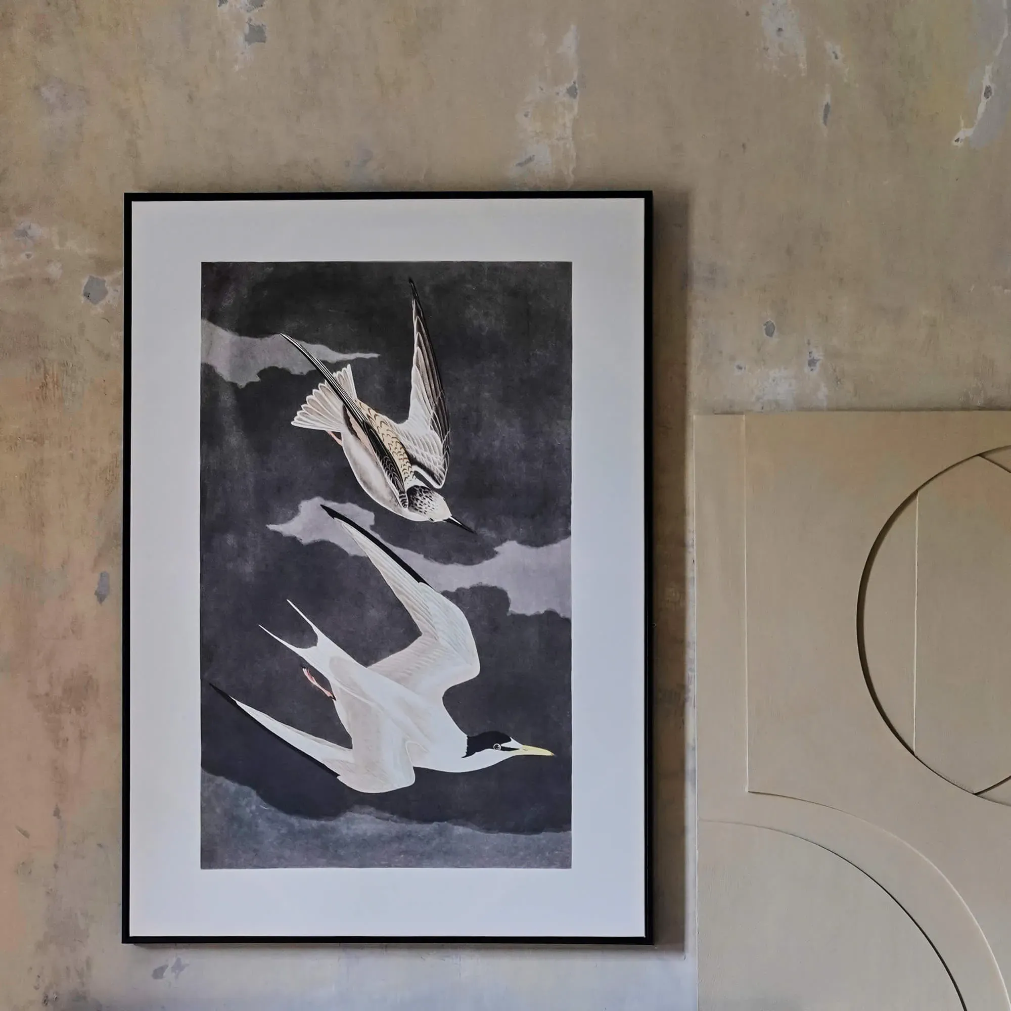 Framed Birds in Flight Print - White