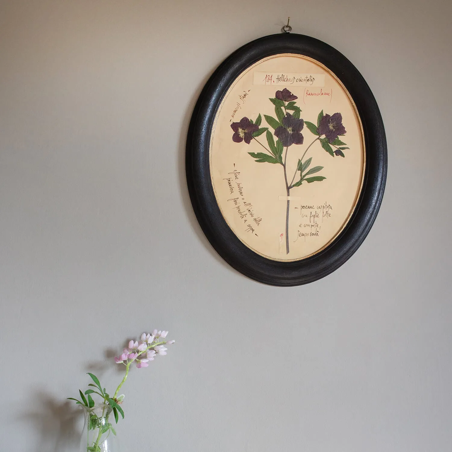 Framed Hellebore Pressed Flowers - Wood