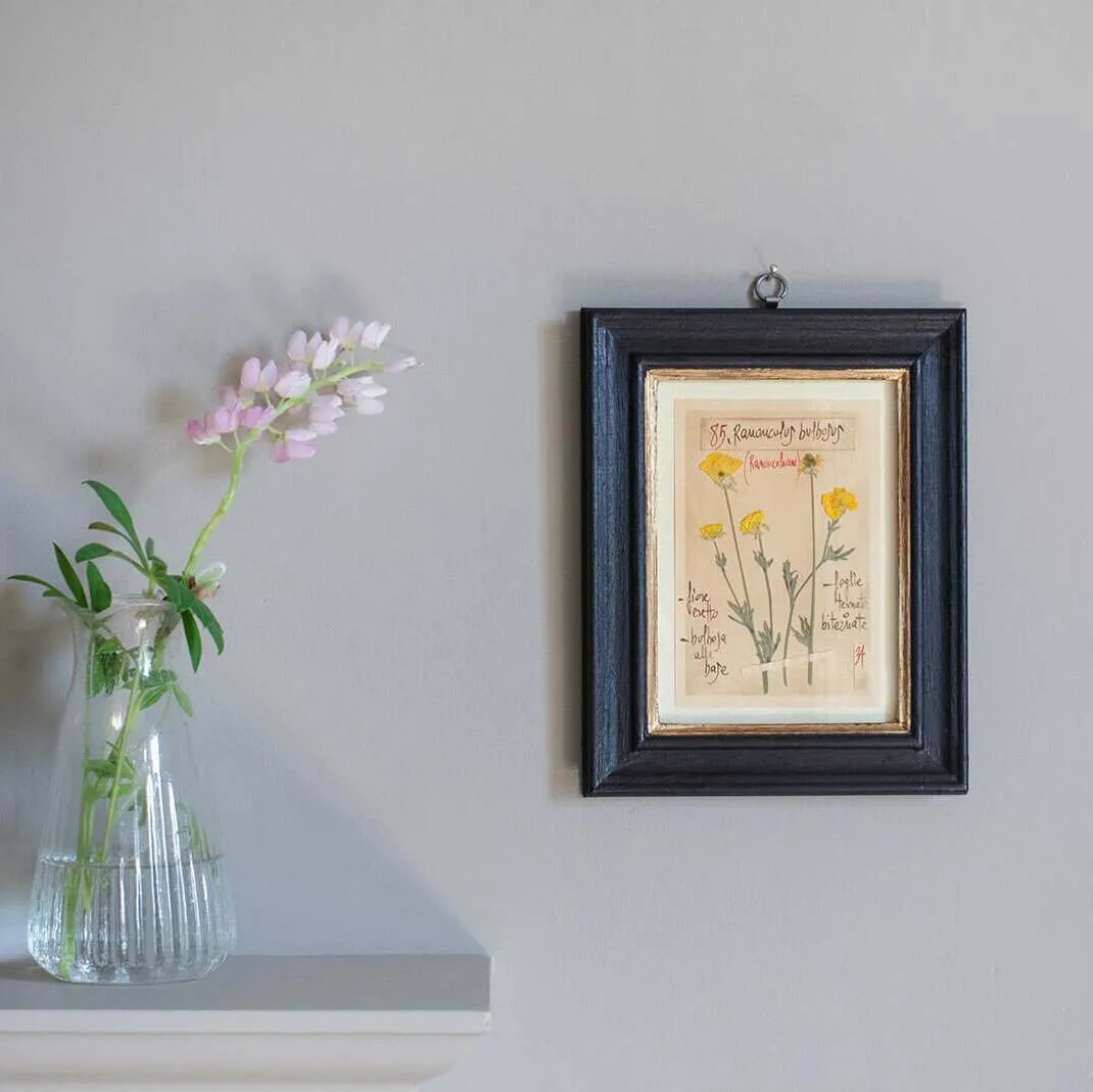 Framed Ranunculus Pressed Flowers - Wood image