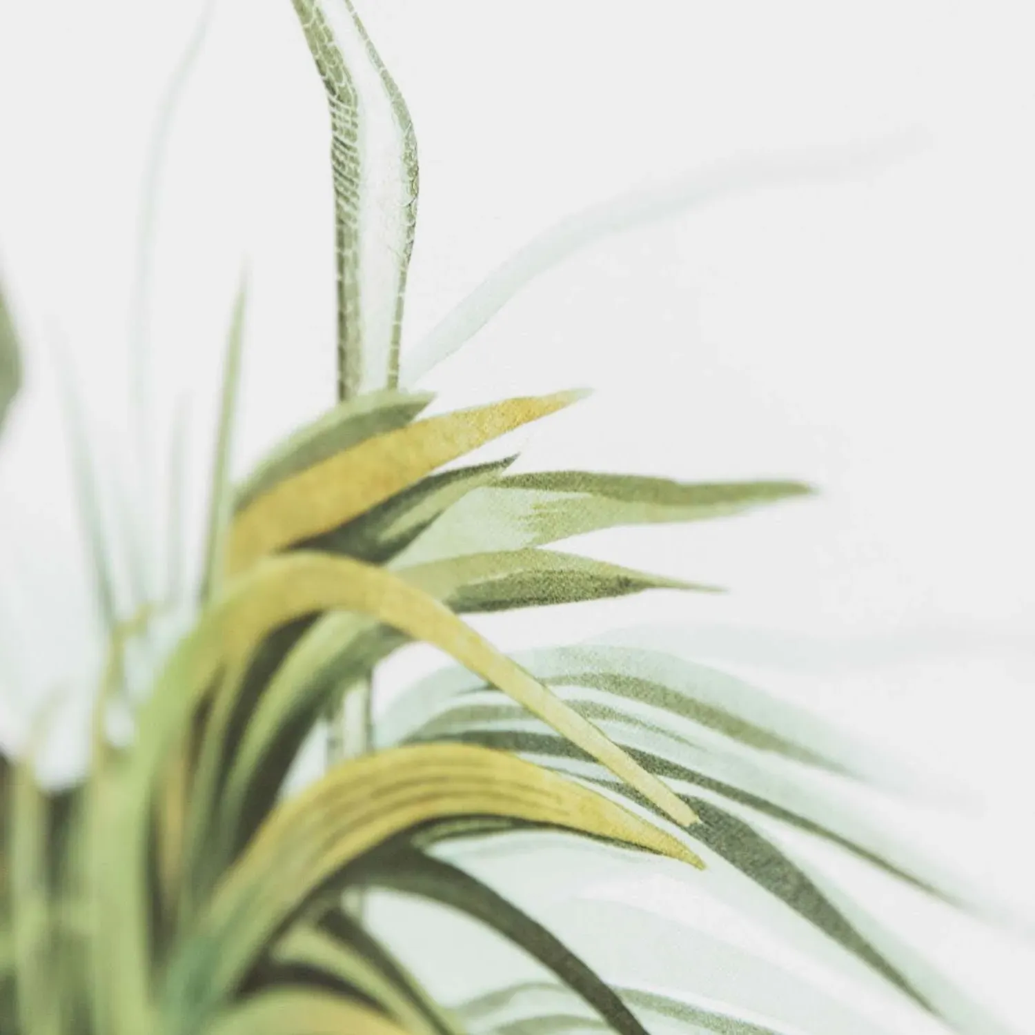 Heron Print Wall Art - Firwood Frame