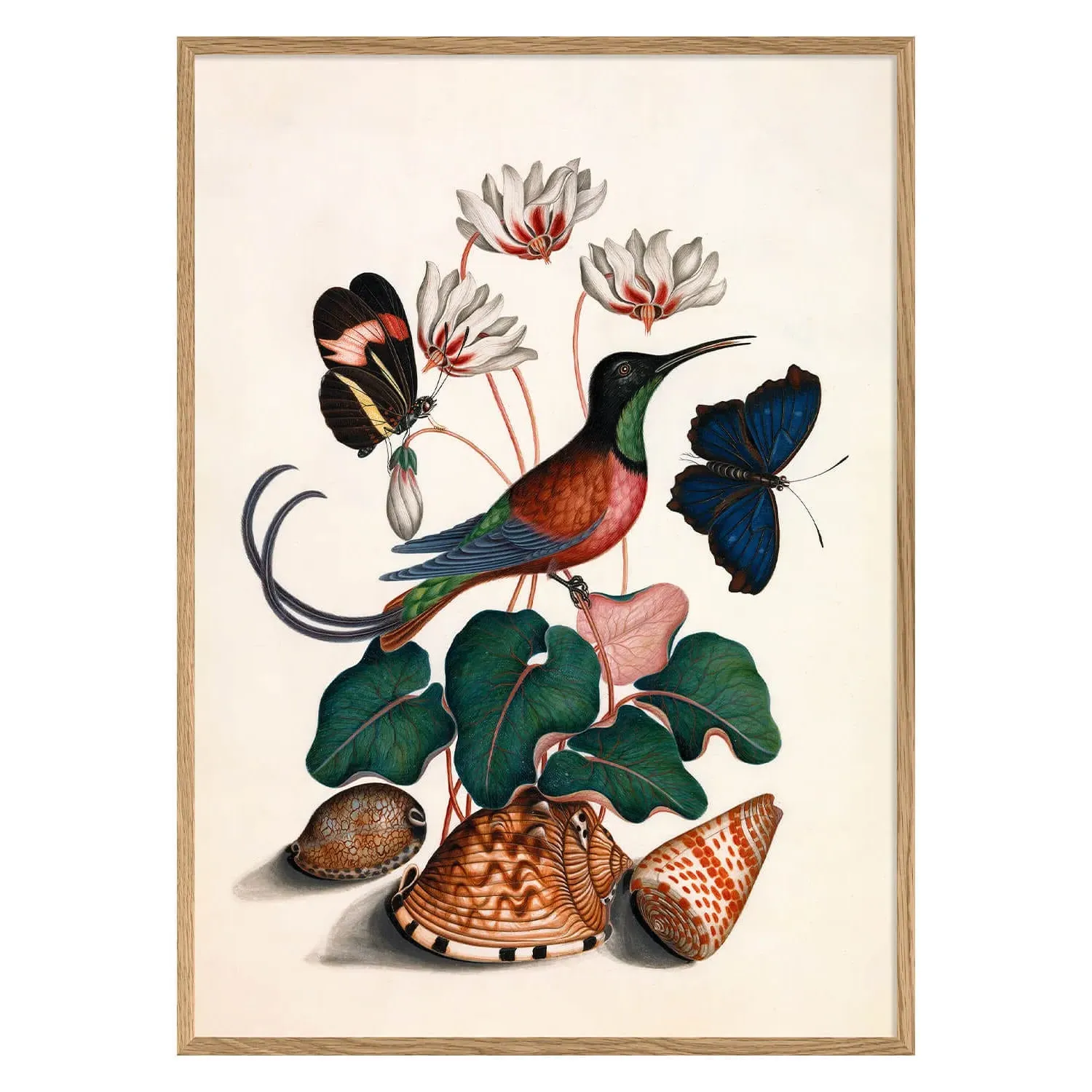 Hummingbird and Flowers Print with Oak Frame - 50 x 70cm