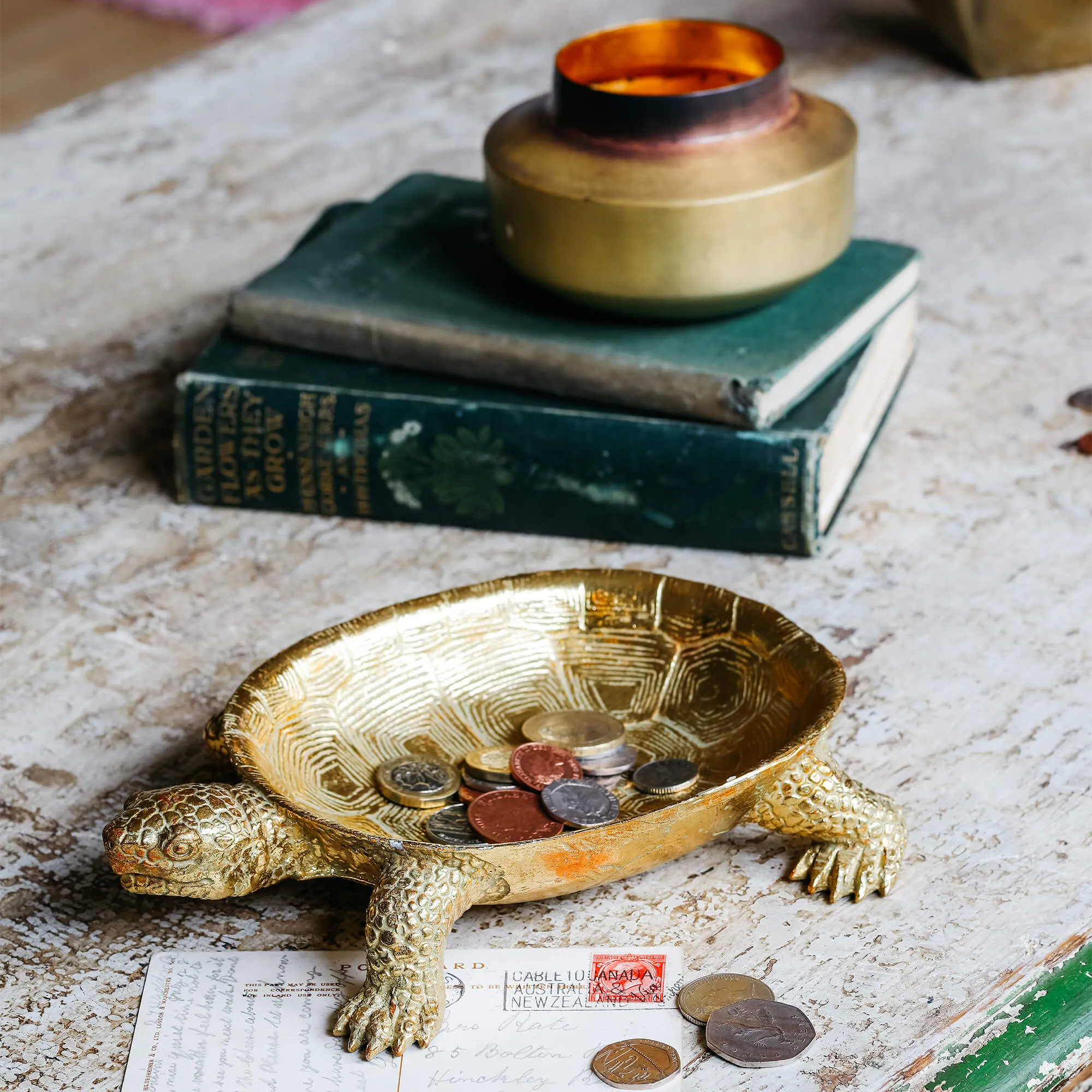 Jose the Tortoise Dish - Gold, Resin