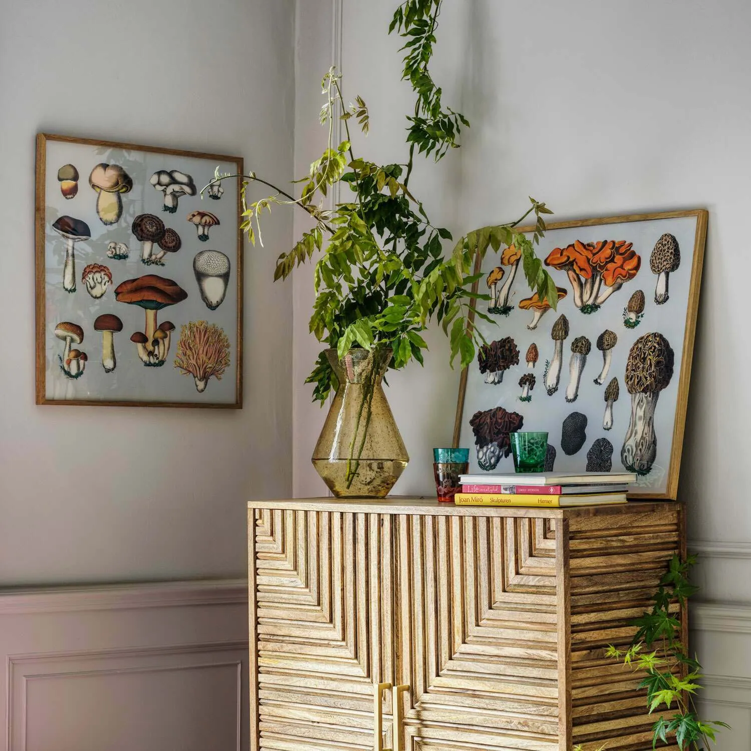 Large Framed Fungi XIII Print - Brown