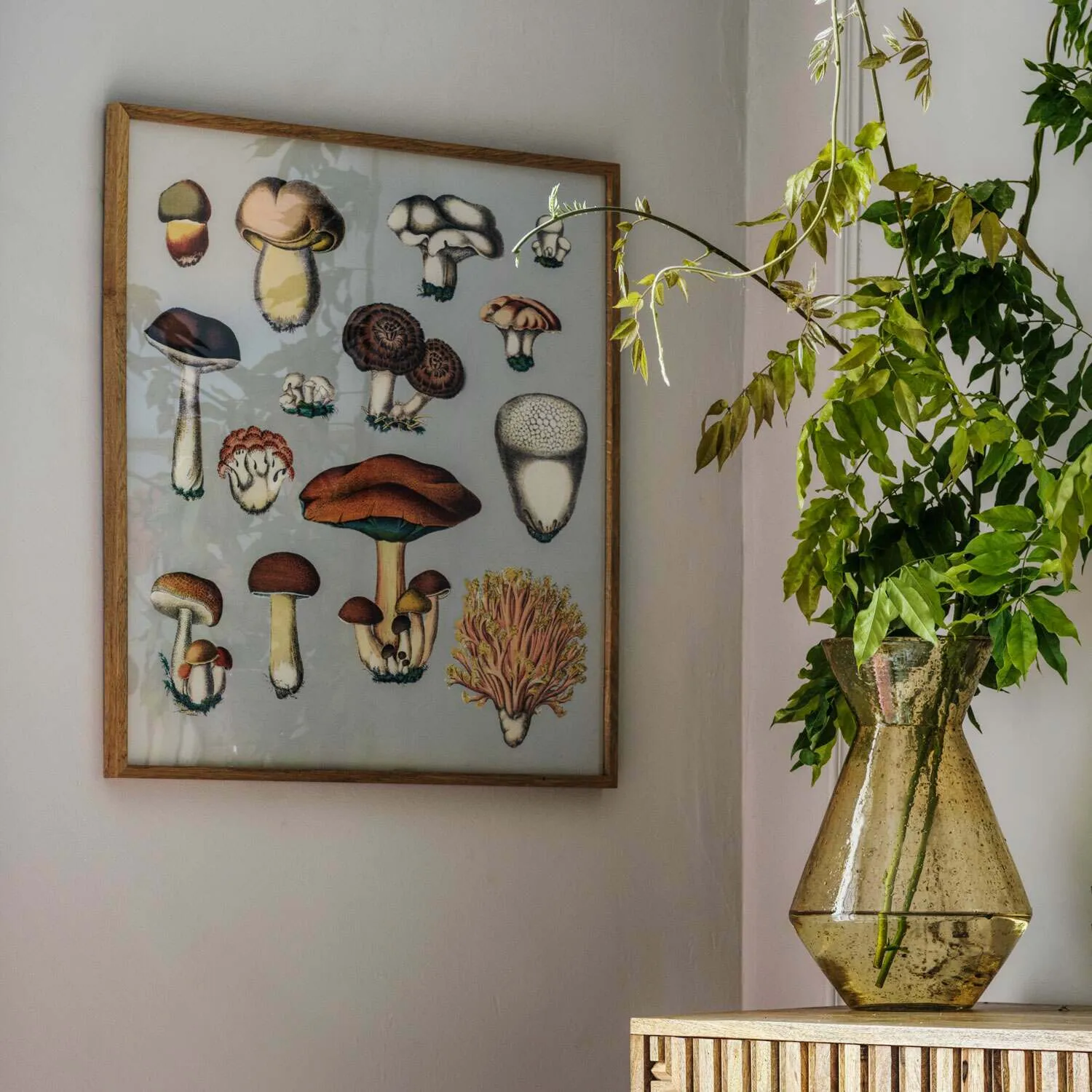 Large Framed Fungi XIII Print - Brown